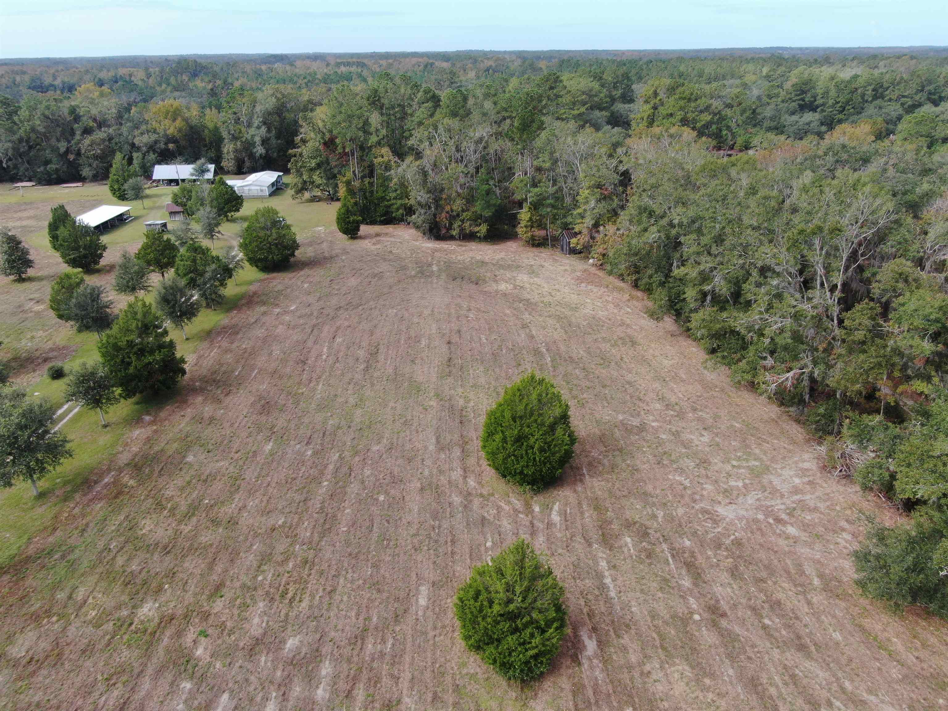 Vacant NW Coachwhip, MADISON, Florida image 16