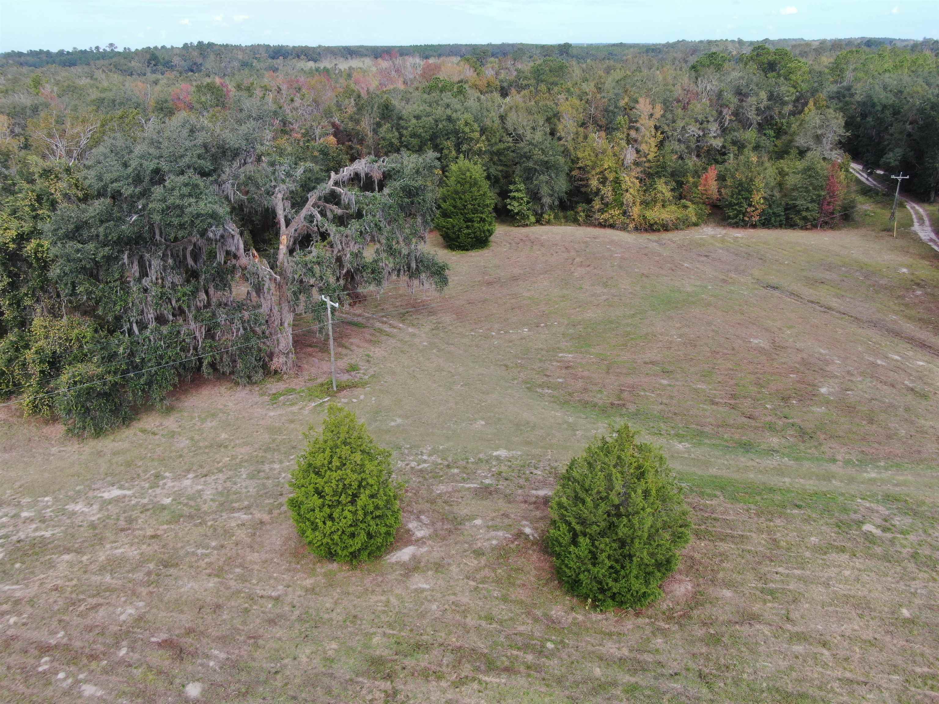 Vacant NW Coachwhip, MADISON, Florida image 17