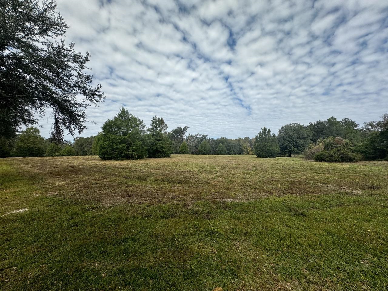 Vacant NW Coachwhip, MADISON, Florida image 18