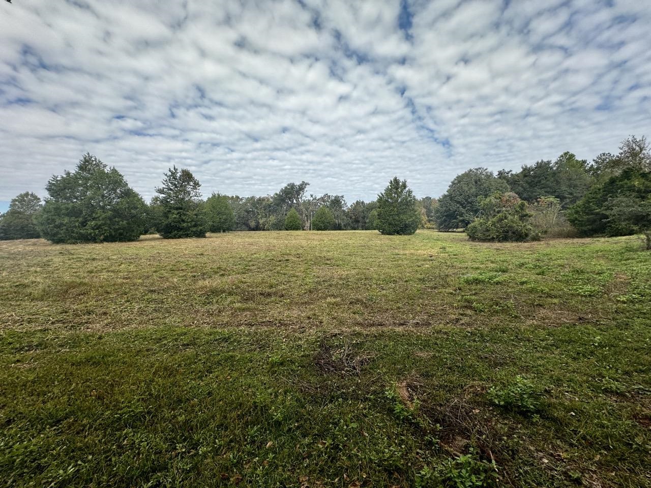 Vacant NW Coachwhip, MADISON, Florida image 19