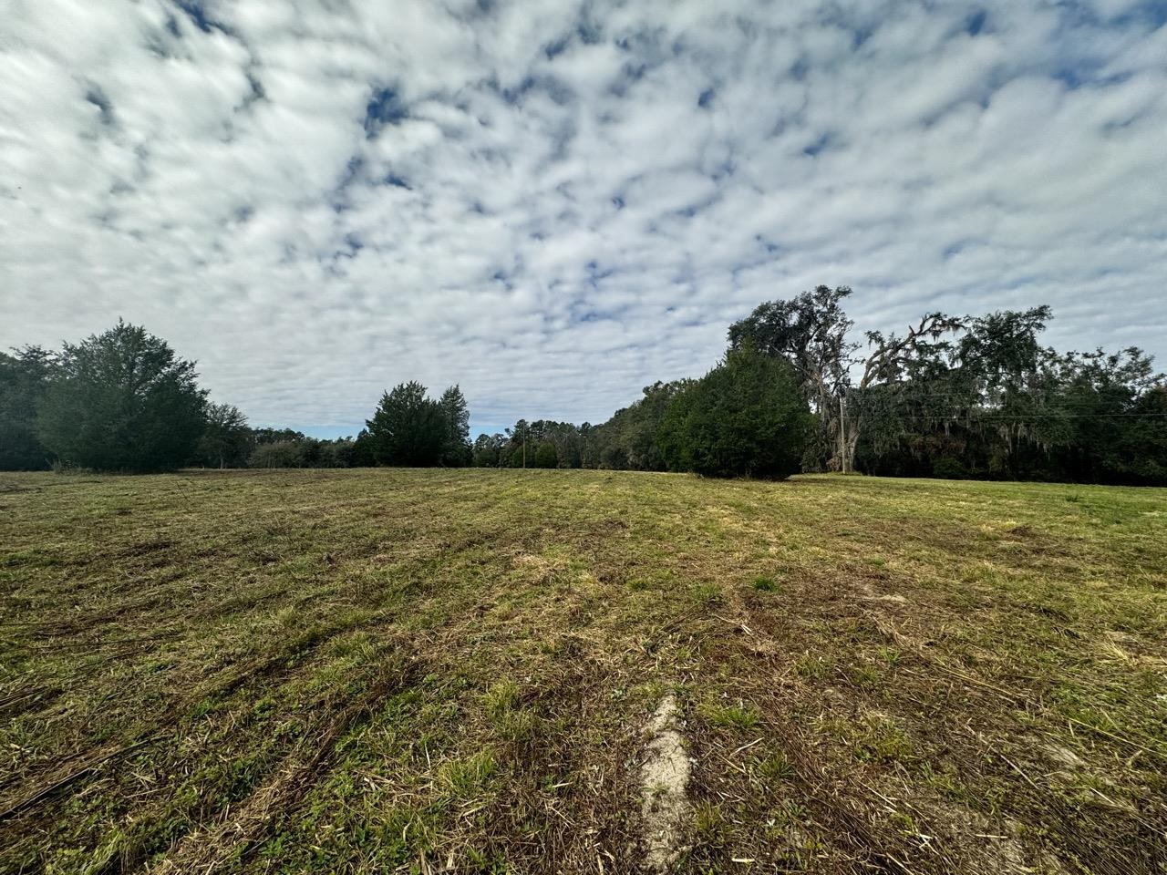 Vacant NW Coachwhip, MADISON, Florida image 20