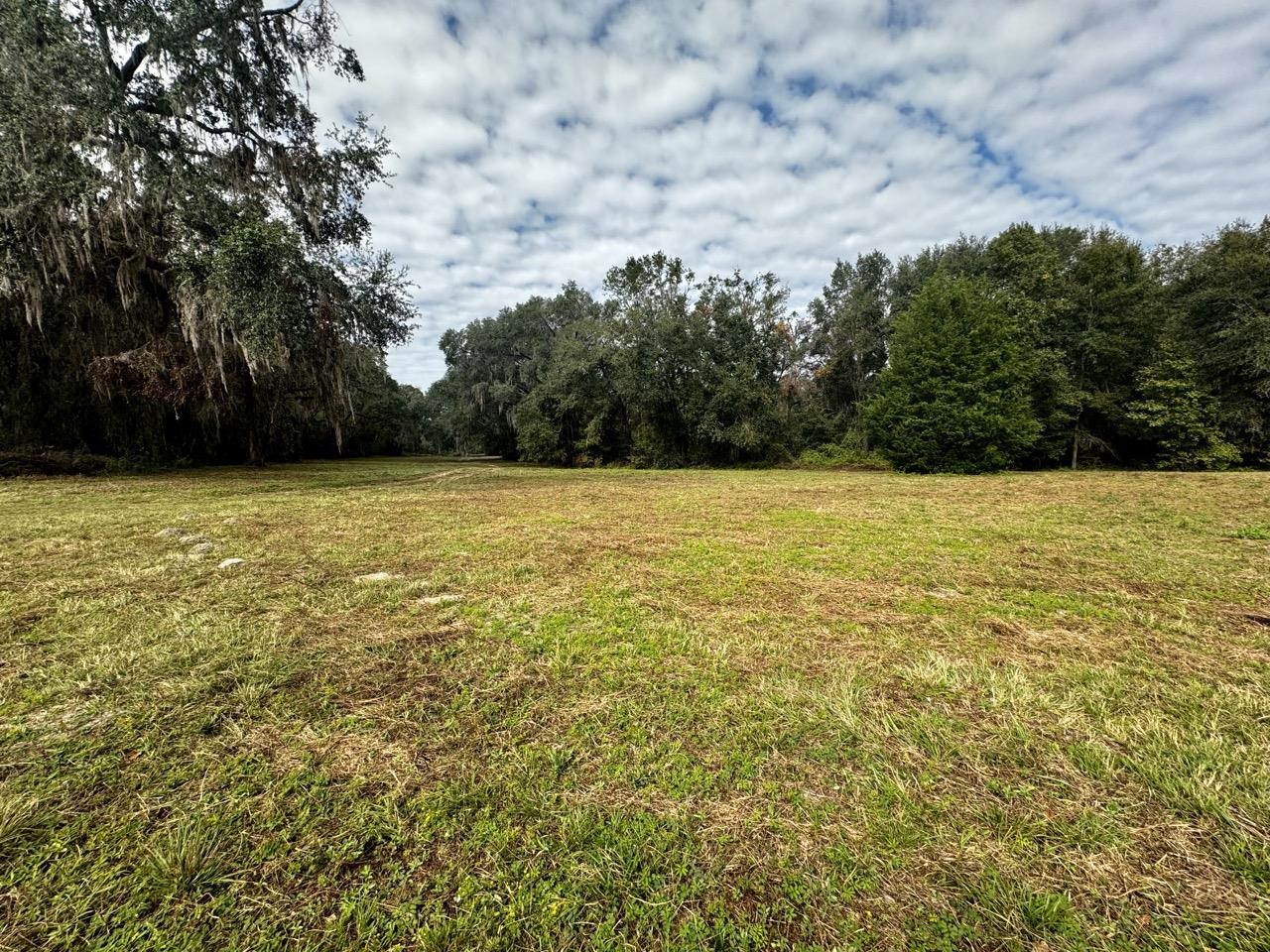 Vacant NW Coachwhip, MADISON, Florida image 21