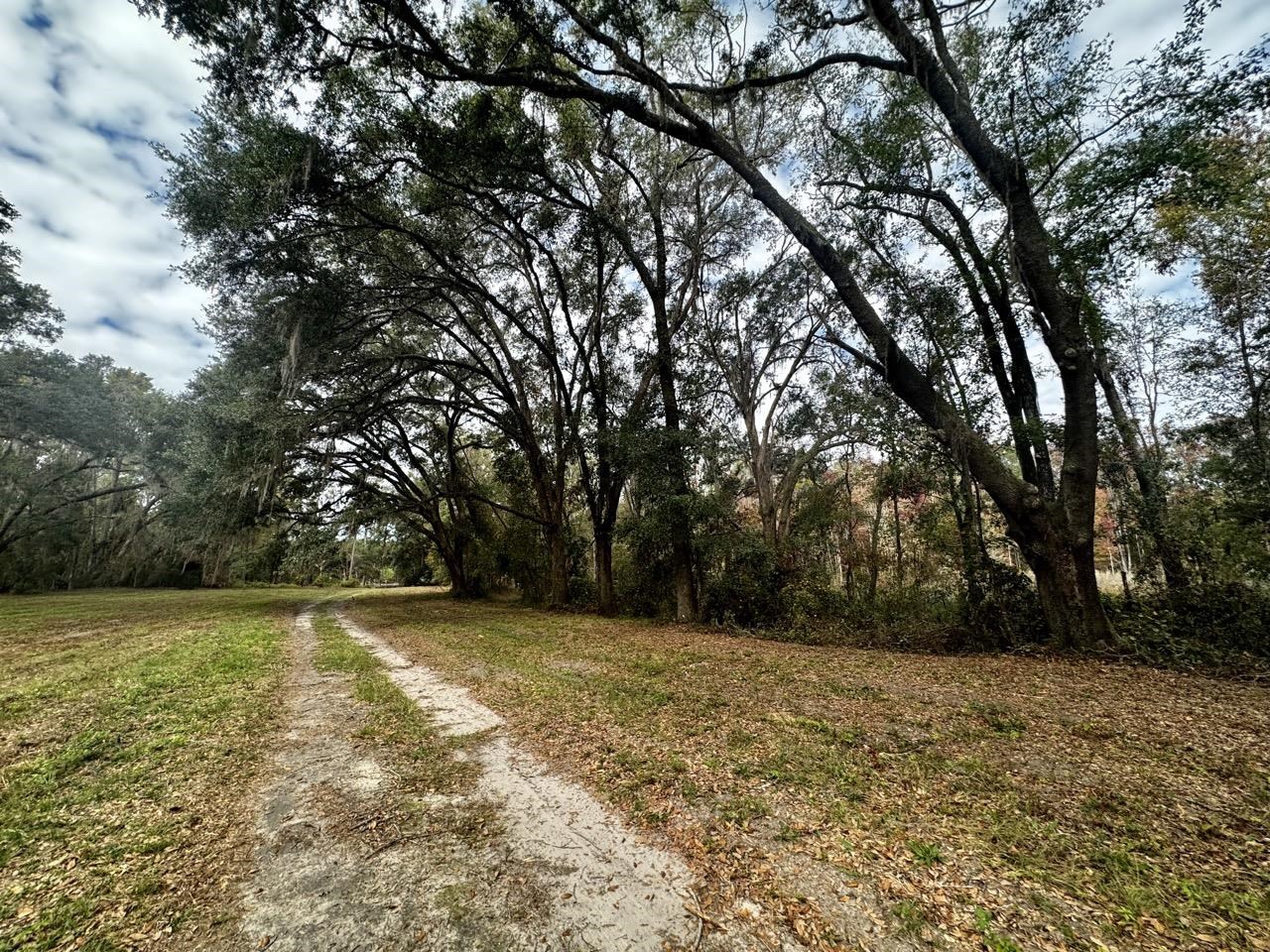 Vacant NW Coachwhip, MADISON, Florida image 22