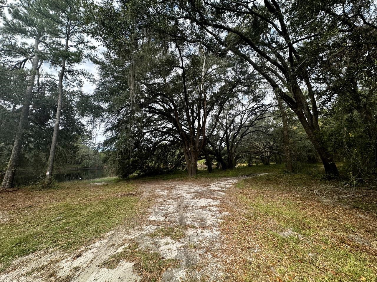 Vacant NW Coachwhip, MADISON, Florida image 25