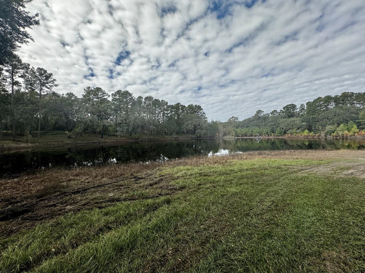 Vacant NW Coachwhip, MADISON, Florida image 26