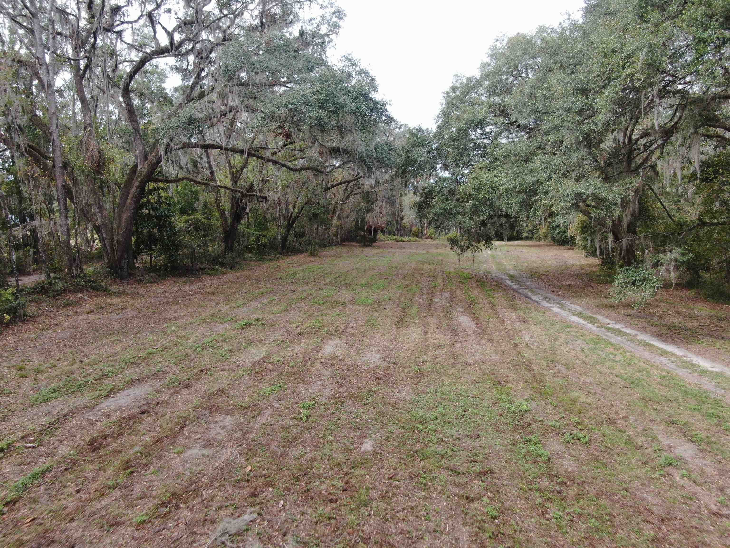 Vacant NW Coachwhip, MADISON, Florida image 27