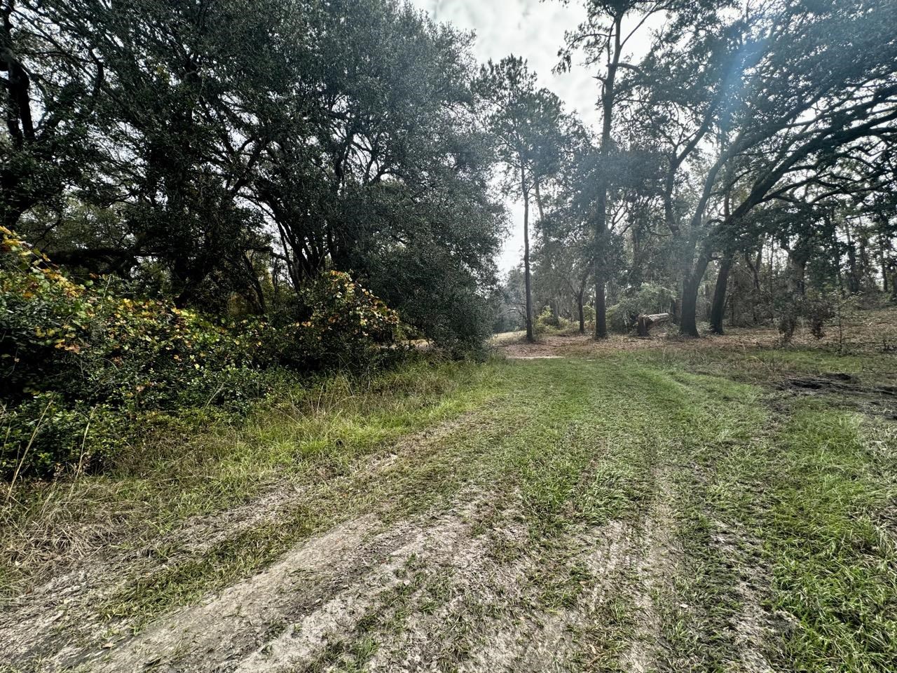 Vacant NW Coachwhip, MADISON, Florida image 28