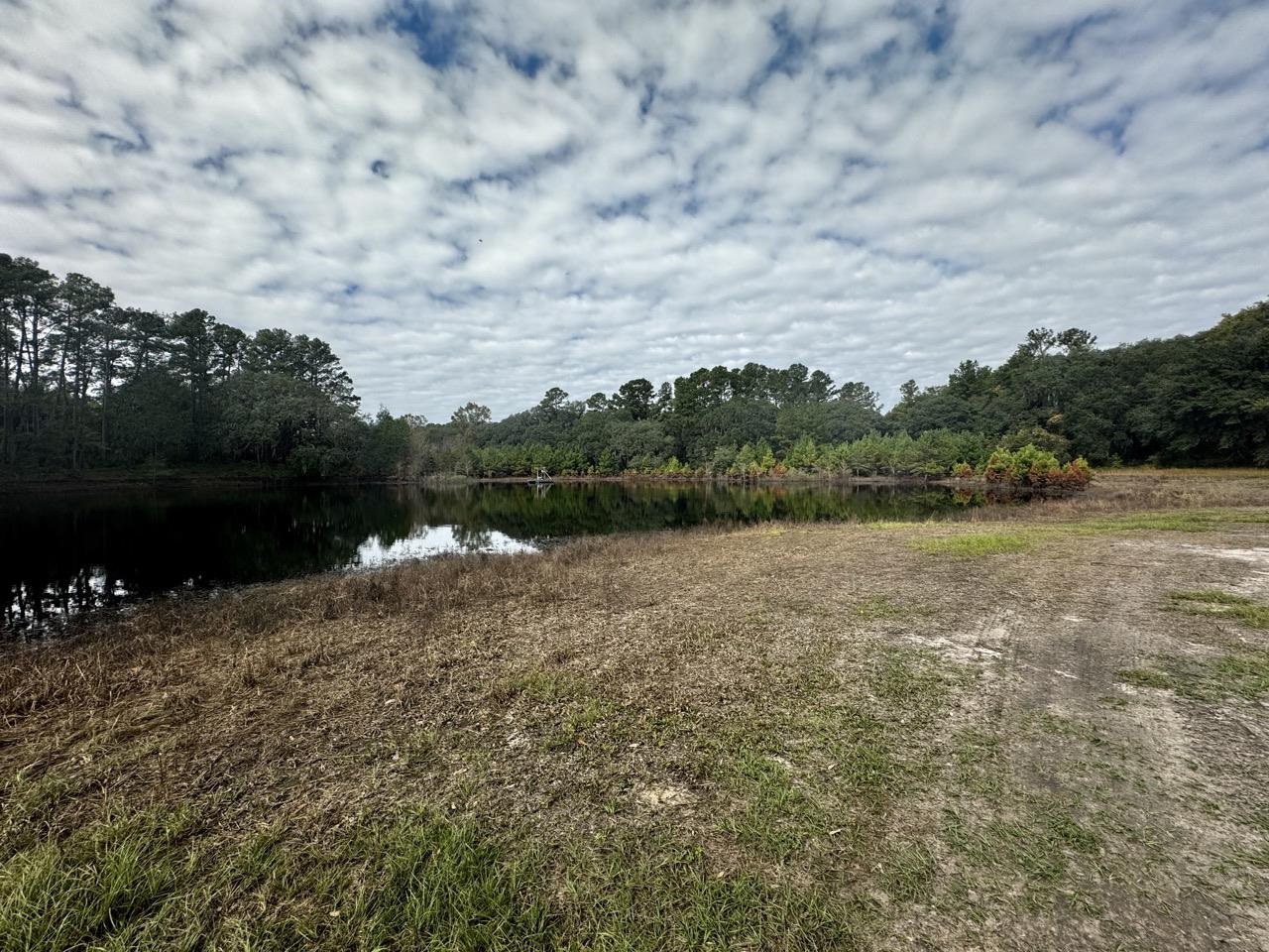 Vacant NW Coachwhip, MADISON, Florida image 29