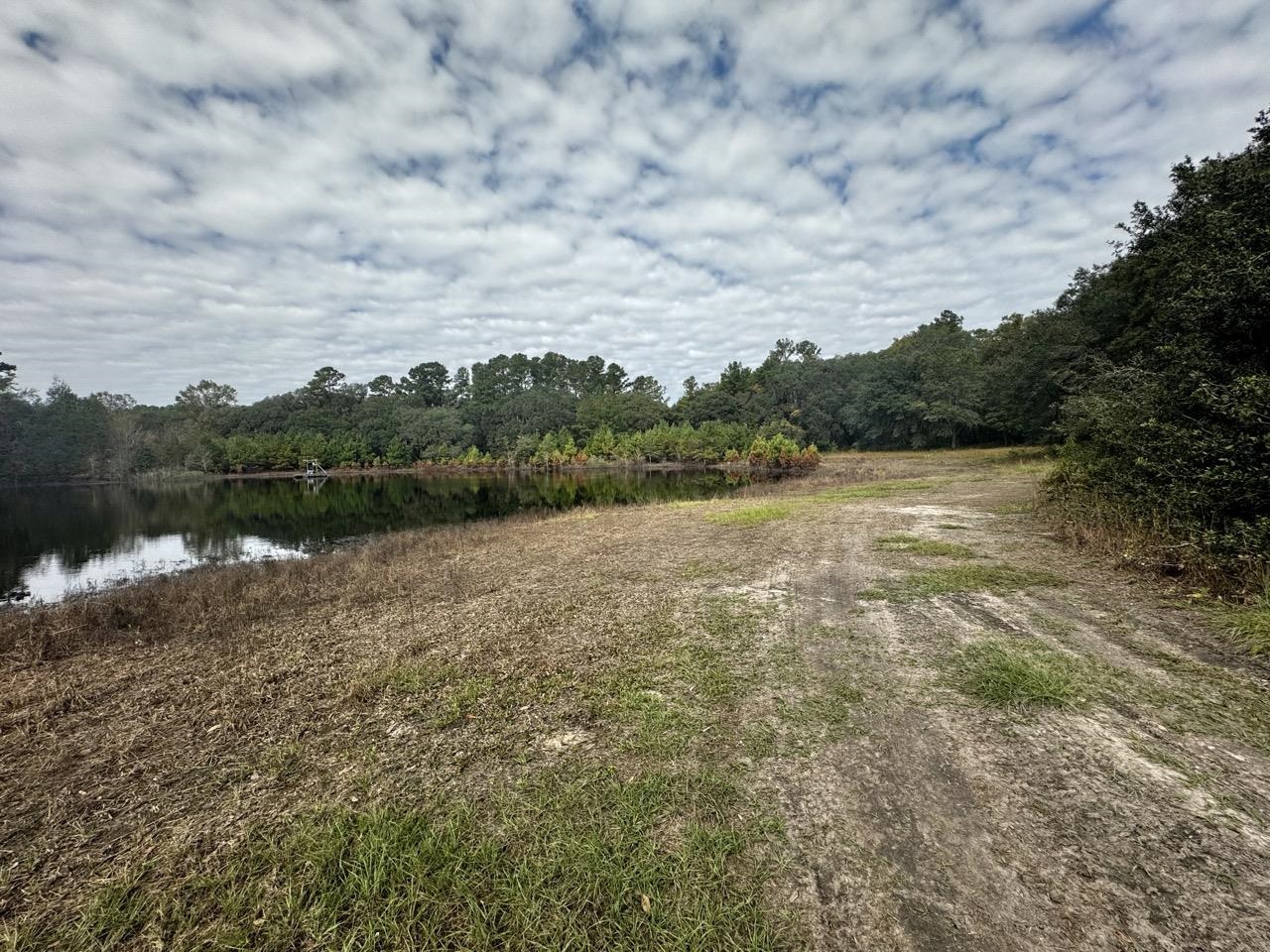 Vacant NW Coachwhip, MADISON, Florida image 3