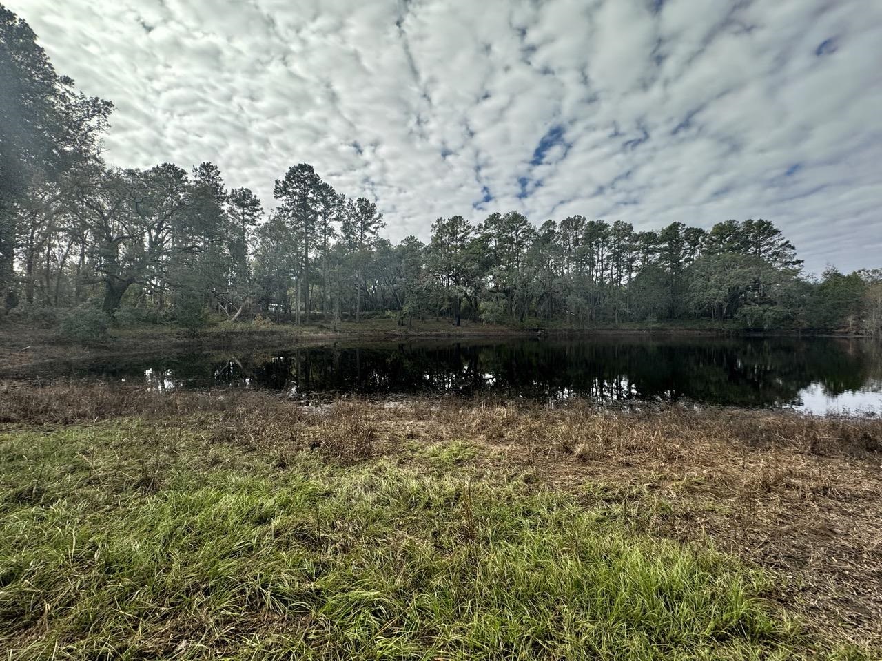 Vacant NW Coachwhip, MADISON, Florida image 30