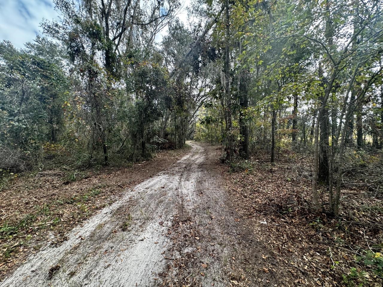 Vacant NW Coachwhip, MADISON, Florida image 31