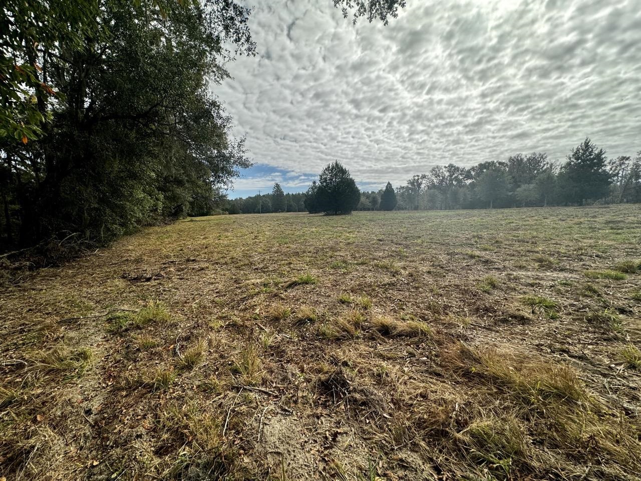 Vacant NW Coachwhip, MADISON, Florida image 32