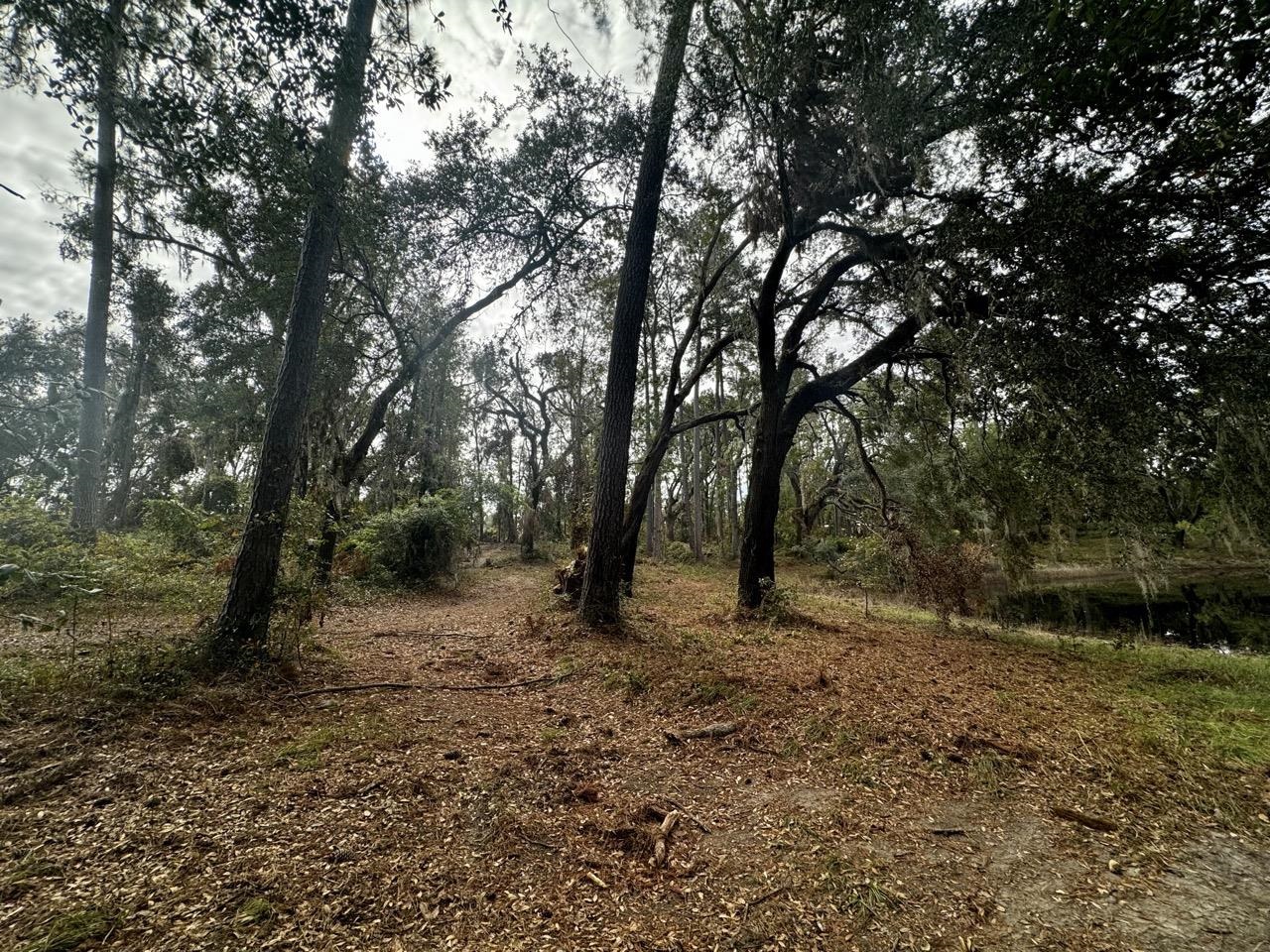 Vacant NW Coachwhip, MADISON, Florida image 5