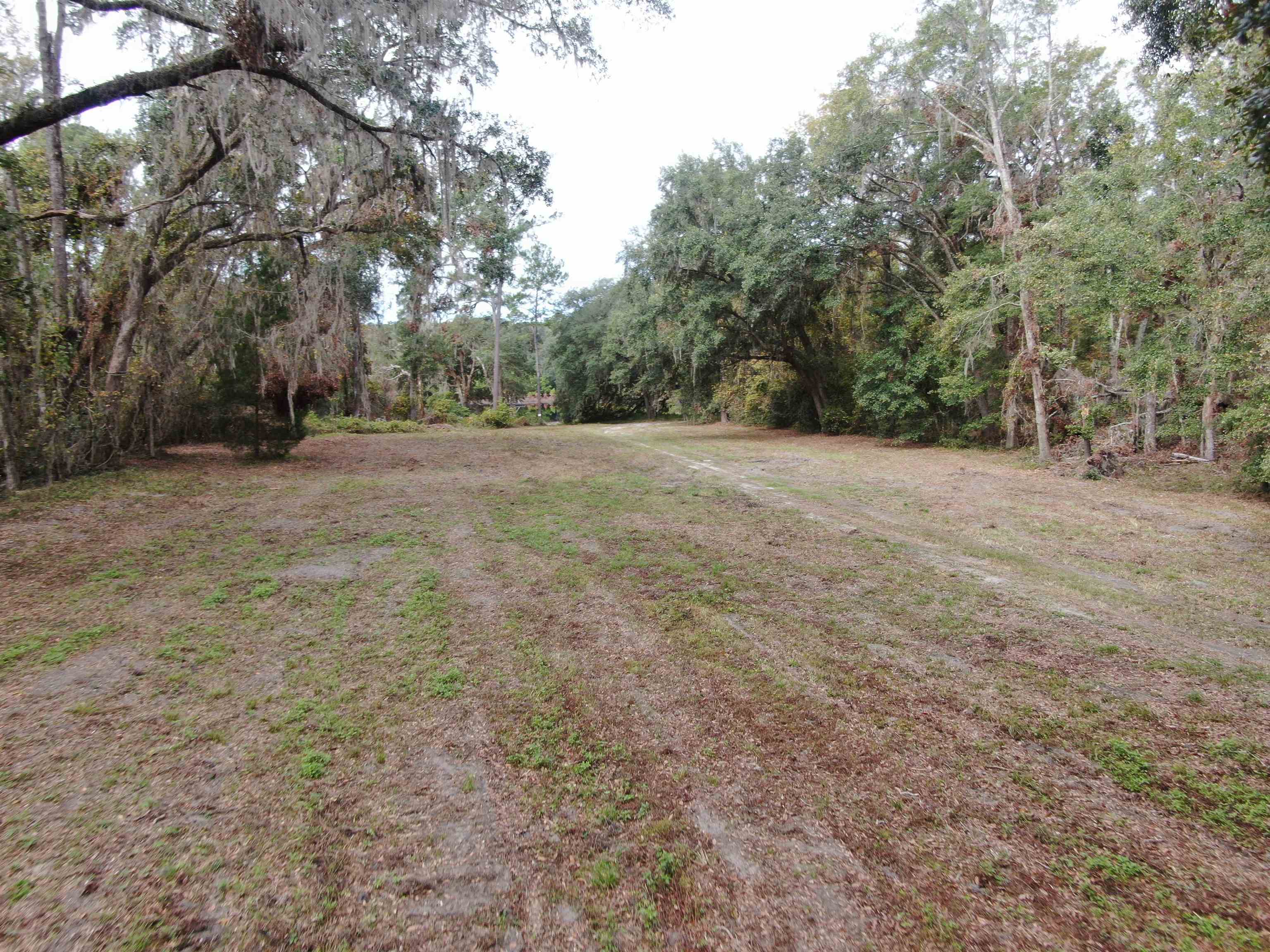 Vacant NW Coachwhip, MADISON, Florida image 6