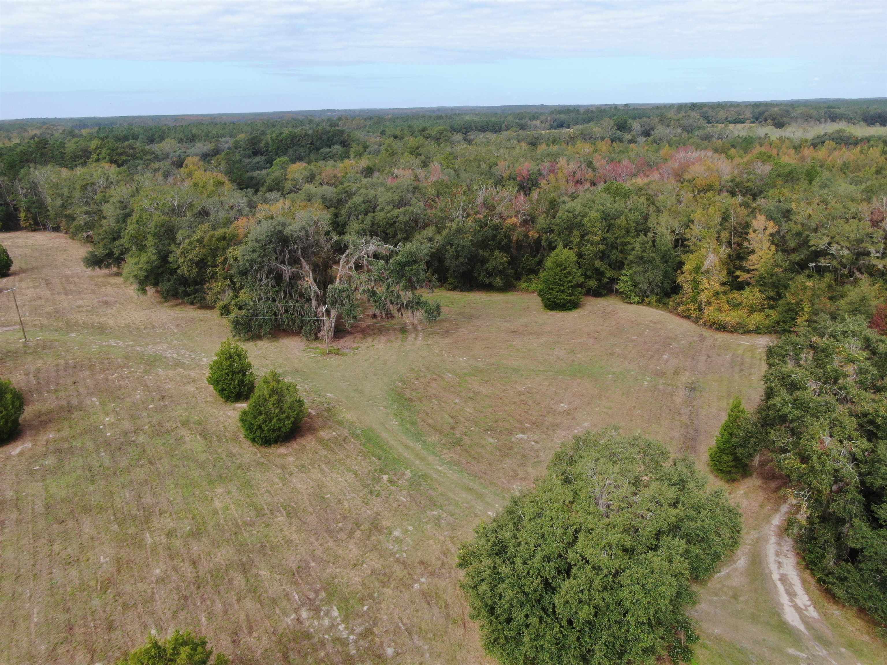 Vacant NW Coachwhip, MADISON, Florida image 7