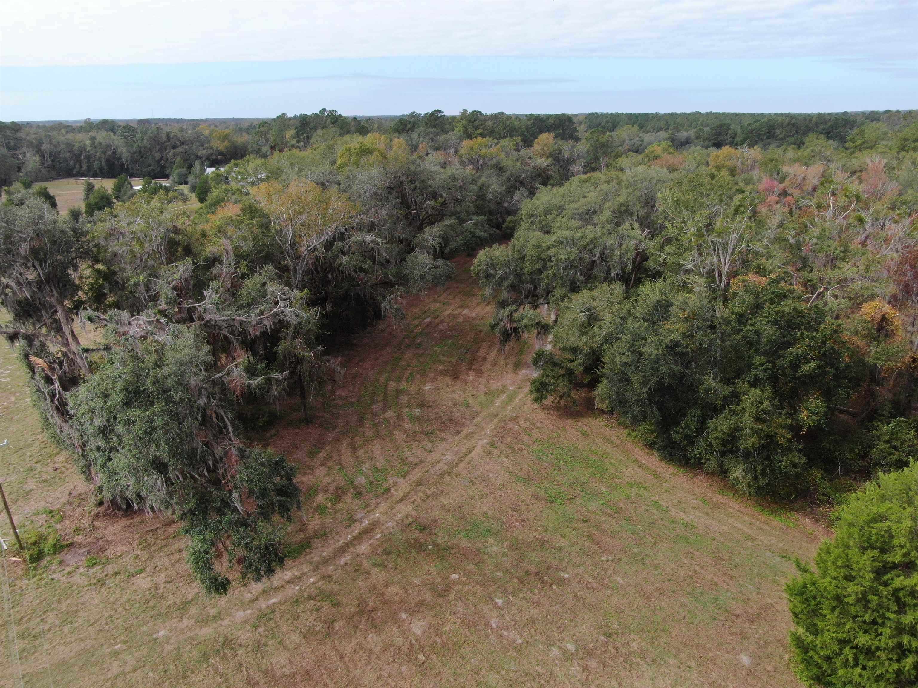 Vacant NW Coachwhip, MADISON, Florida image 9