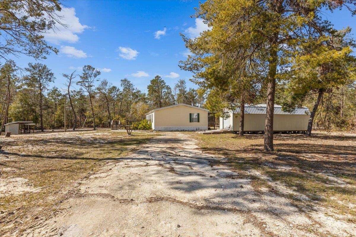 19329 Jody Morgan Road, KEATON BEACH, Florida image 9