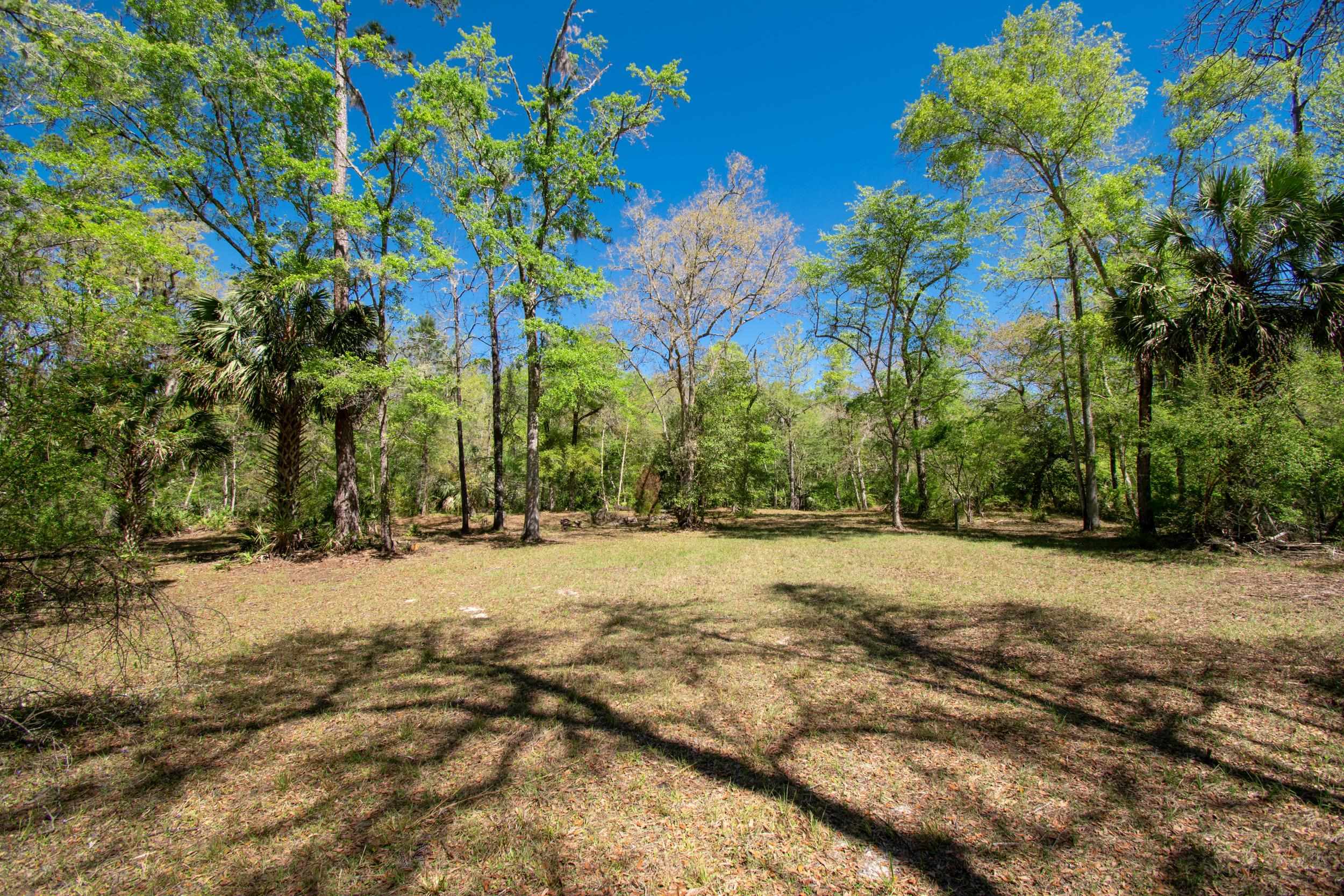 17600 Aucilla River Estates Road, LAMONT, Florida image 11