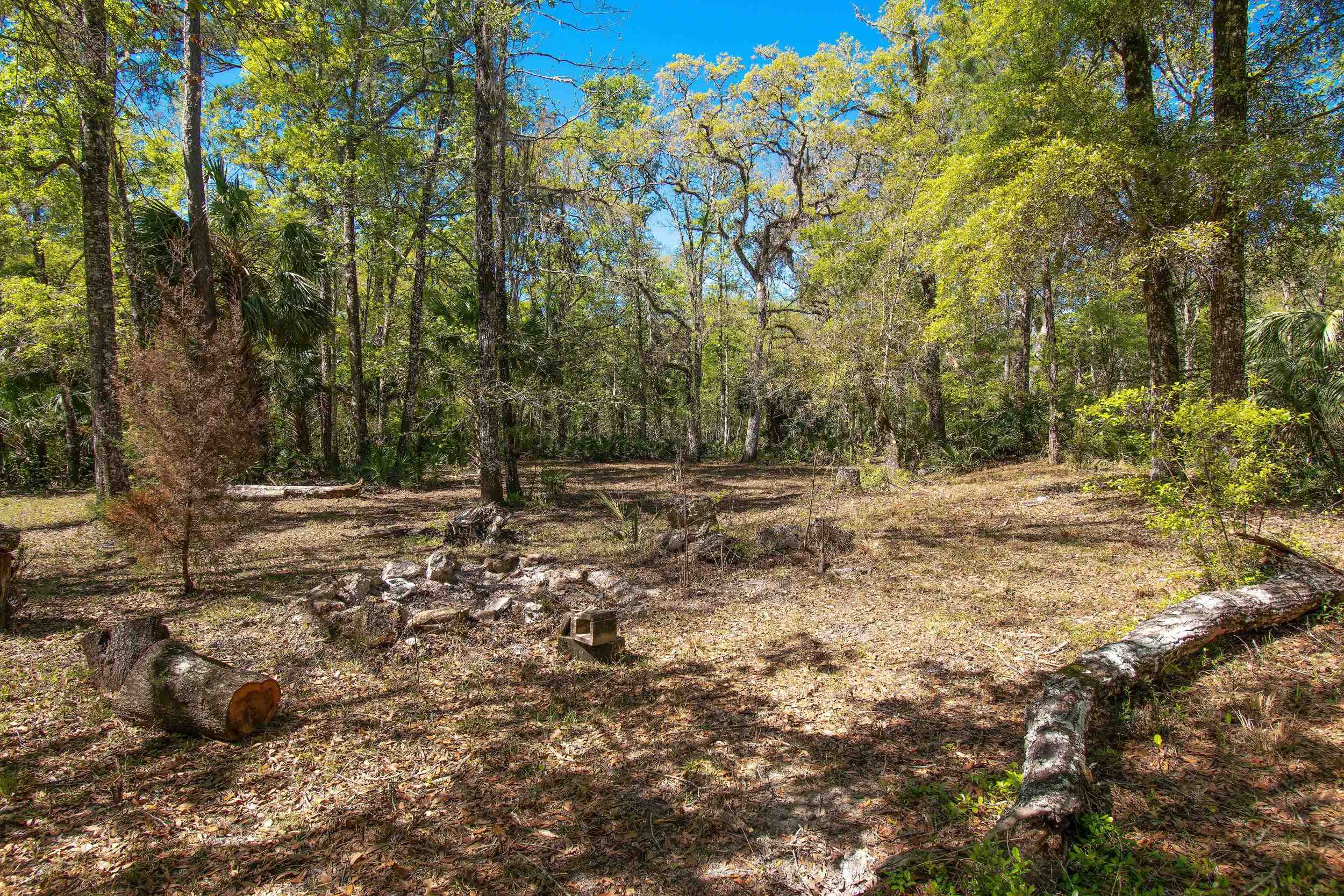 17600 Aucilla River Estates Road, LAMONT, Florida image 13