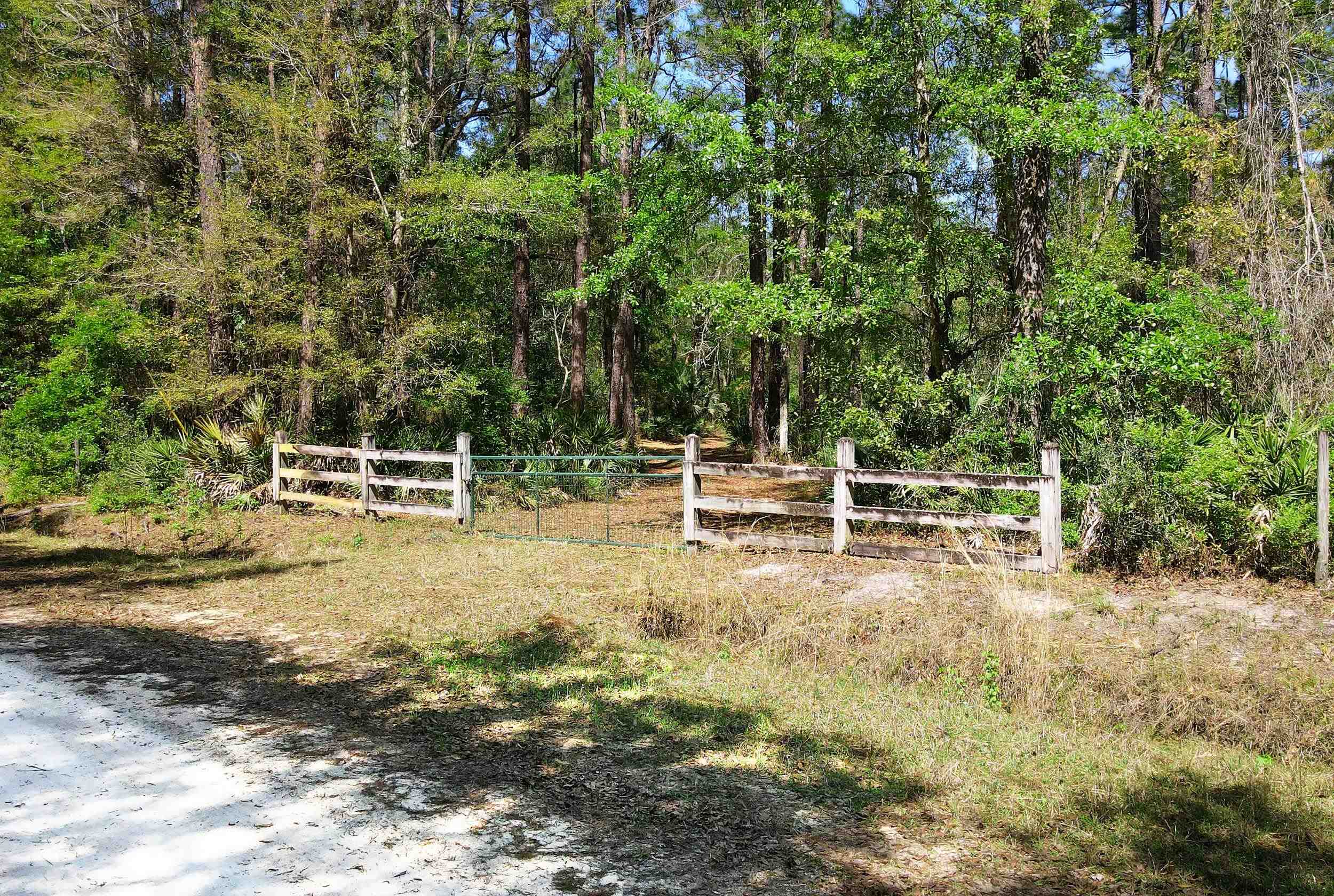 17600 Aucilla River Estates Road, LAMONT, Florida image 14