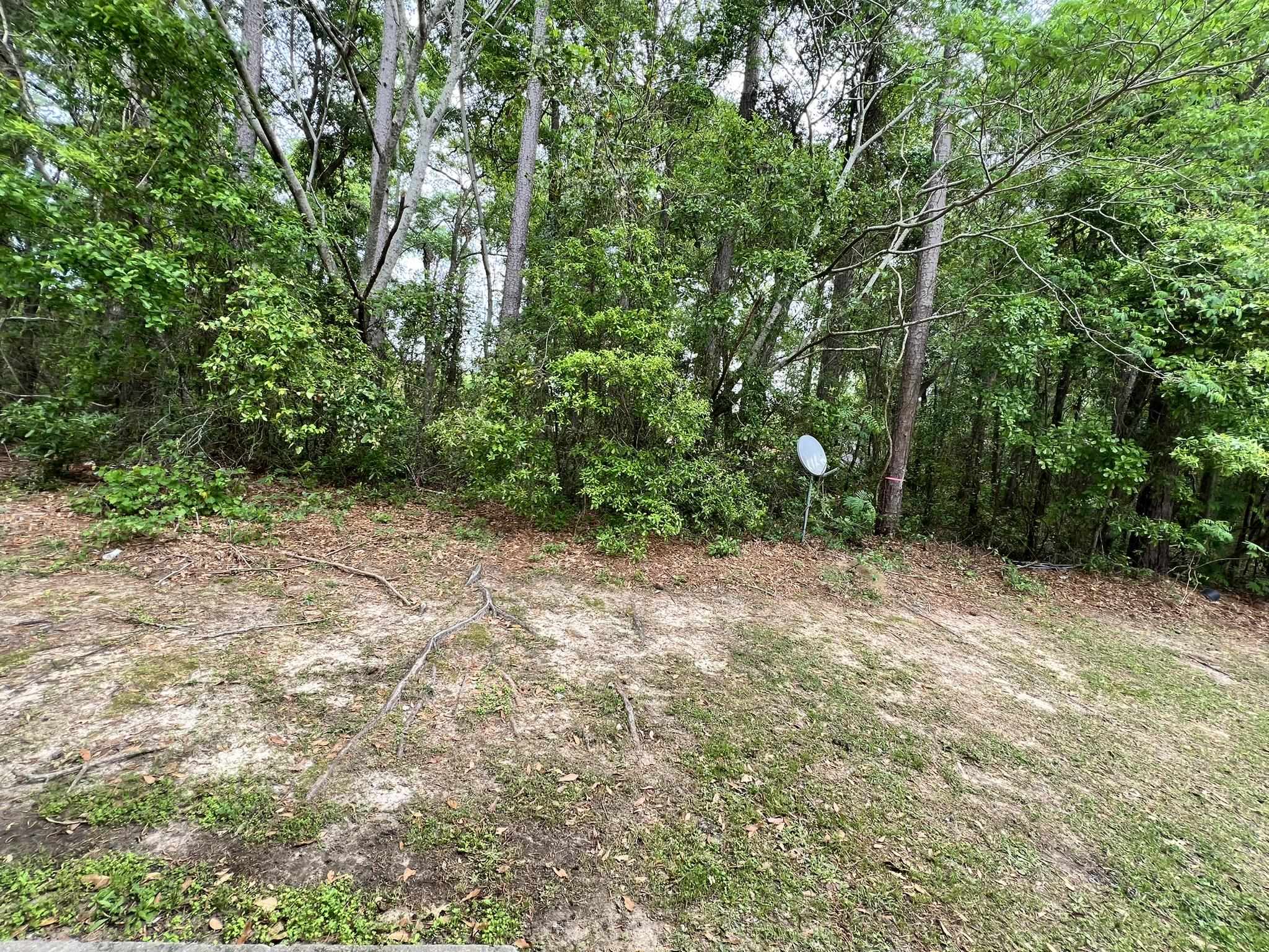 3241 Sawtooth Drive Homes for Sale and Rent by TLH Realty in the