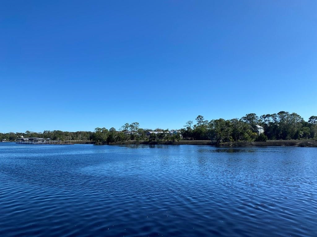 1004 SE Riverside Drive, STEINHATCHEE, Florida image 6