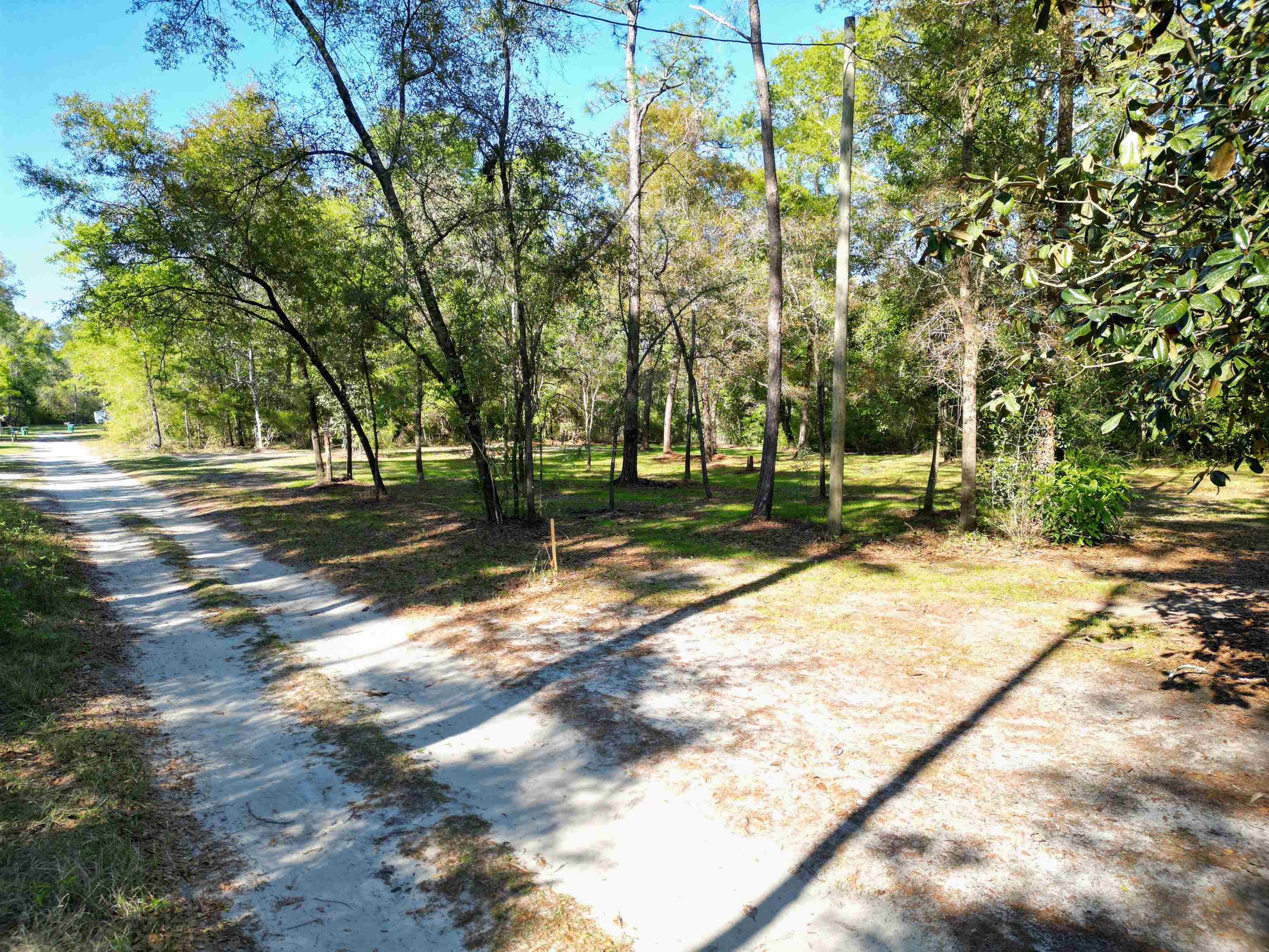 Gerbarjo Street, SOPCHOPPY, Florida image 1