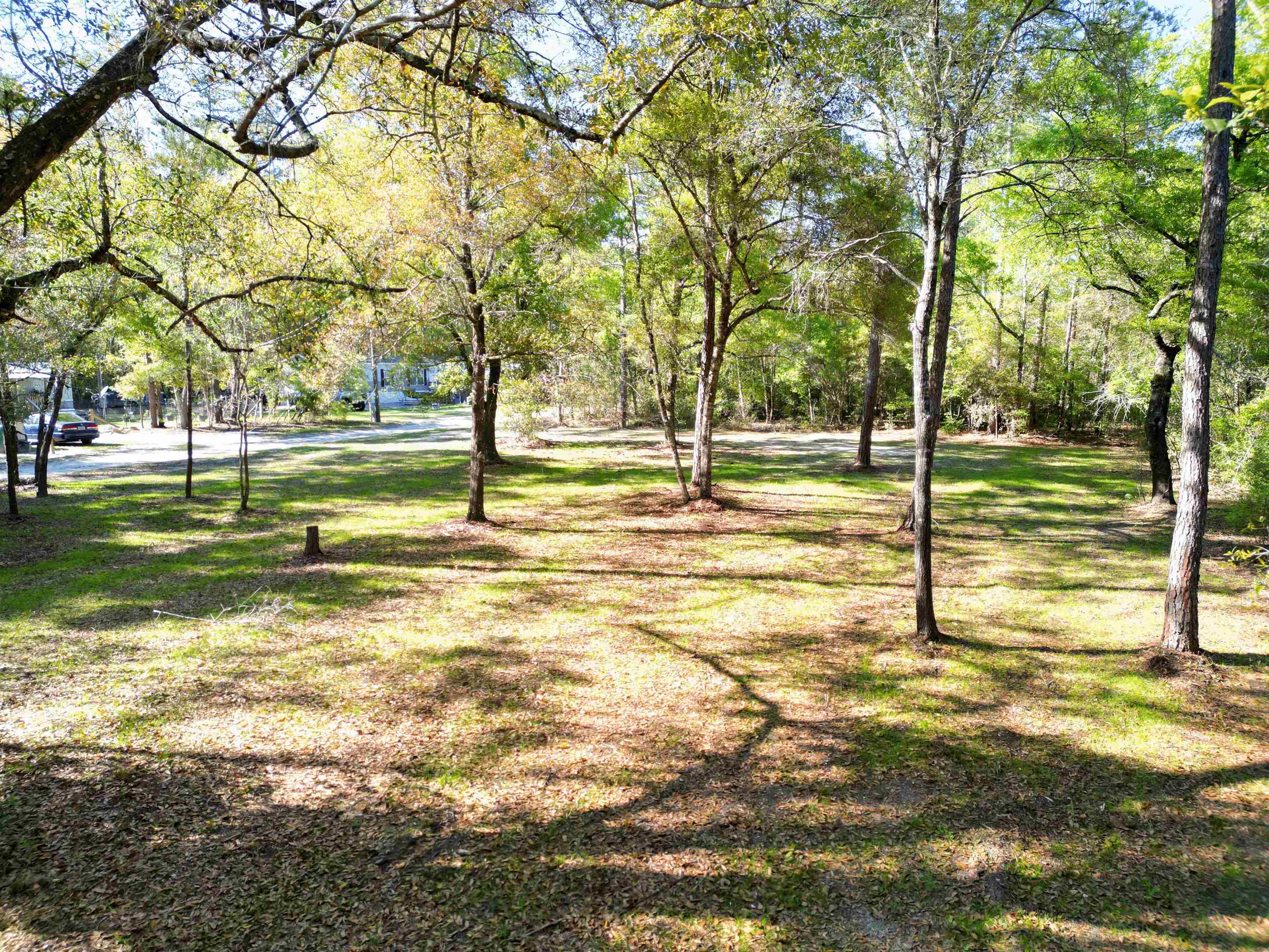 Gerbarjo Street, SOPCHOPPY, Florida image 3