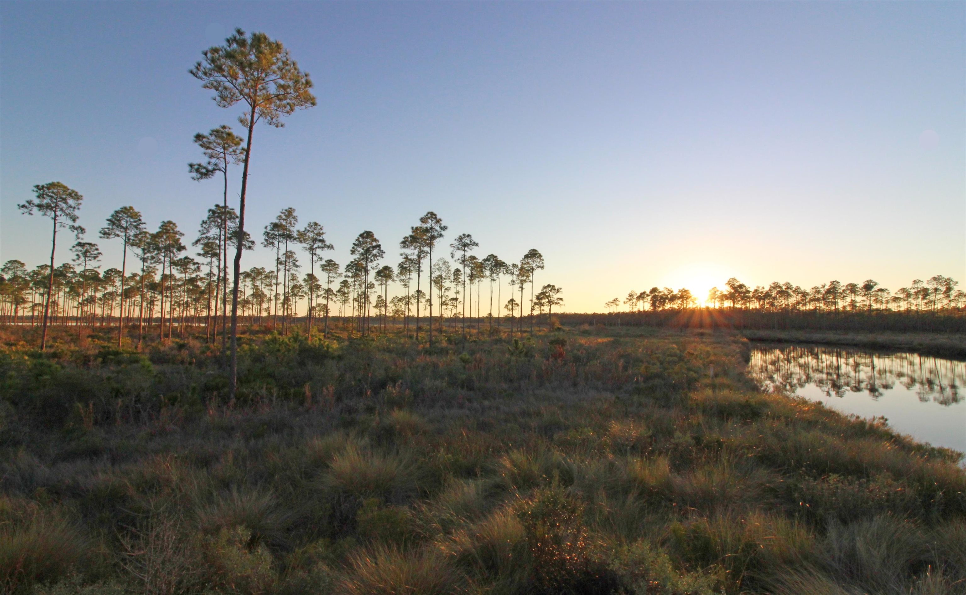 13 Sailfish Street #1, ALLIGATOR POINT, Florida image 33