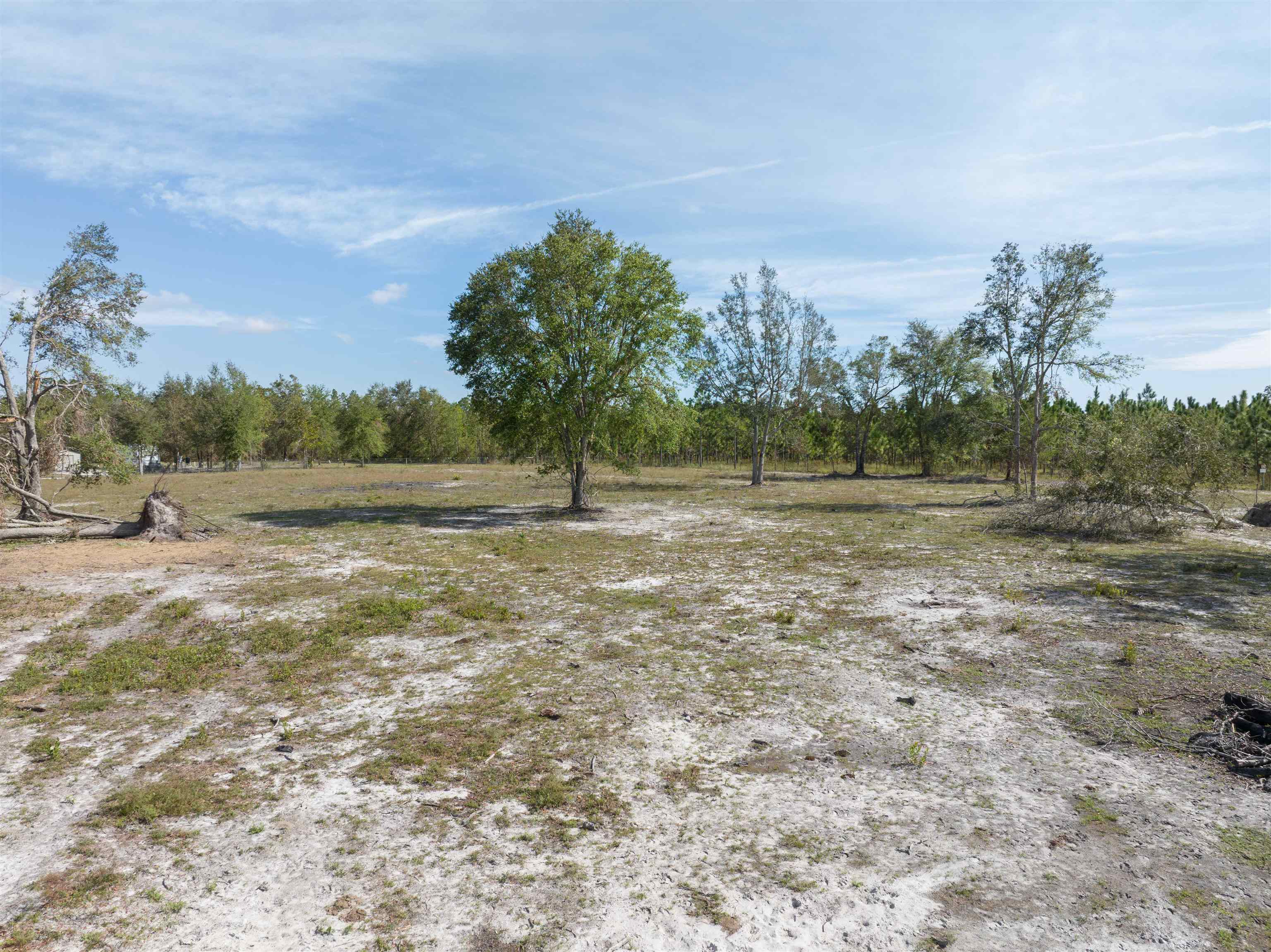 6650 N Cr 53, MAYO, Florida image 35