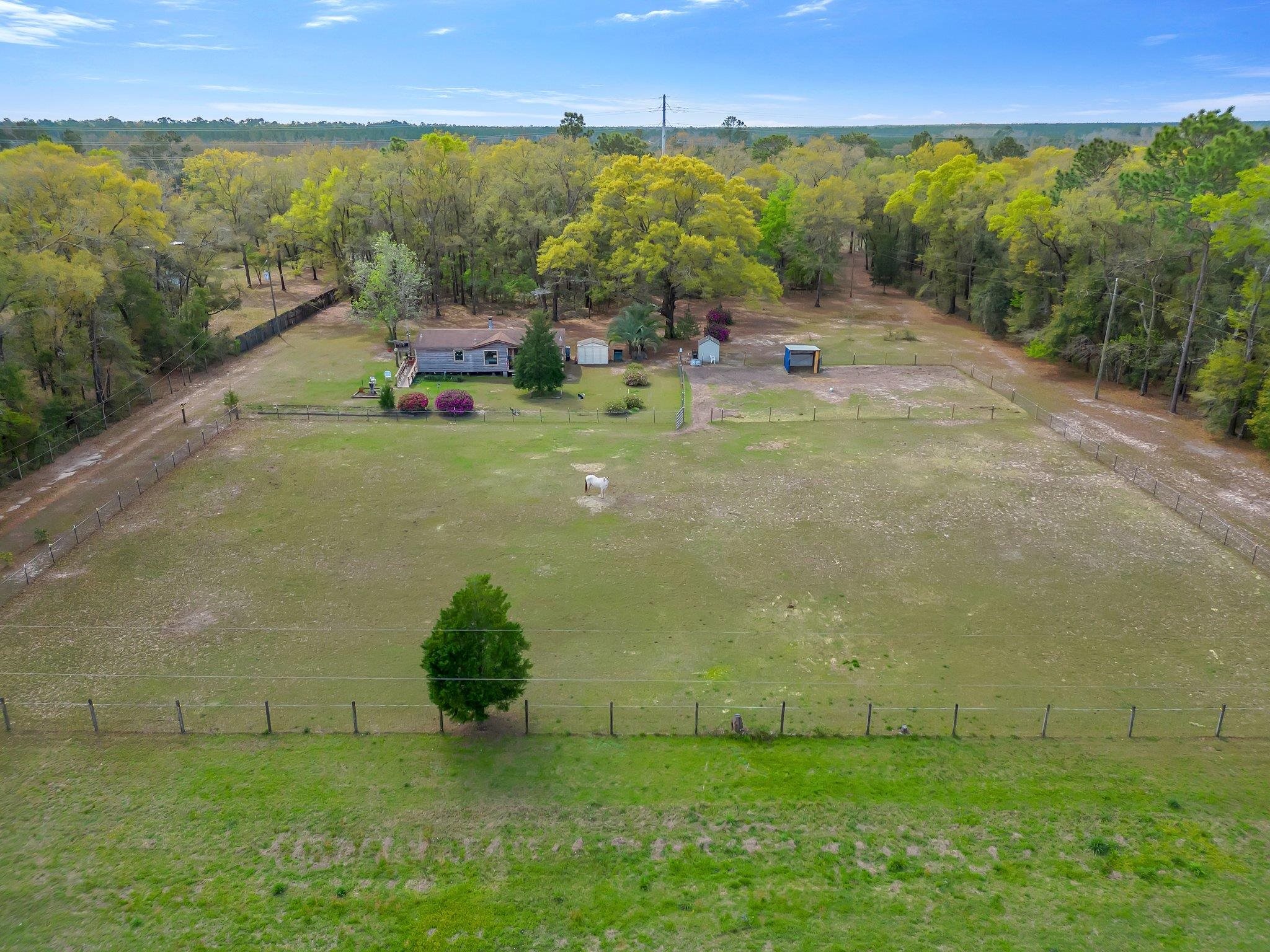 10805 Tram Road TALLAHASSEE, Florida 32311 372052 Tallahassee