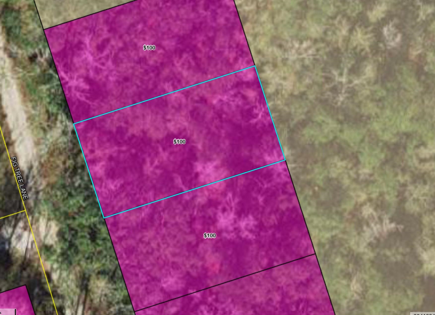 Xx Fig Tree Lane, Crawfordville FL, 32327, Unimproved Land For Sale