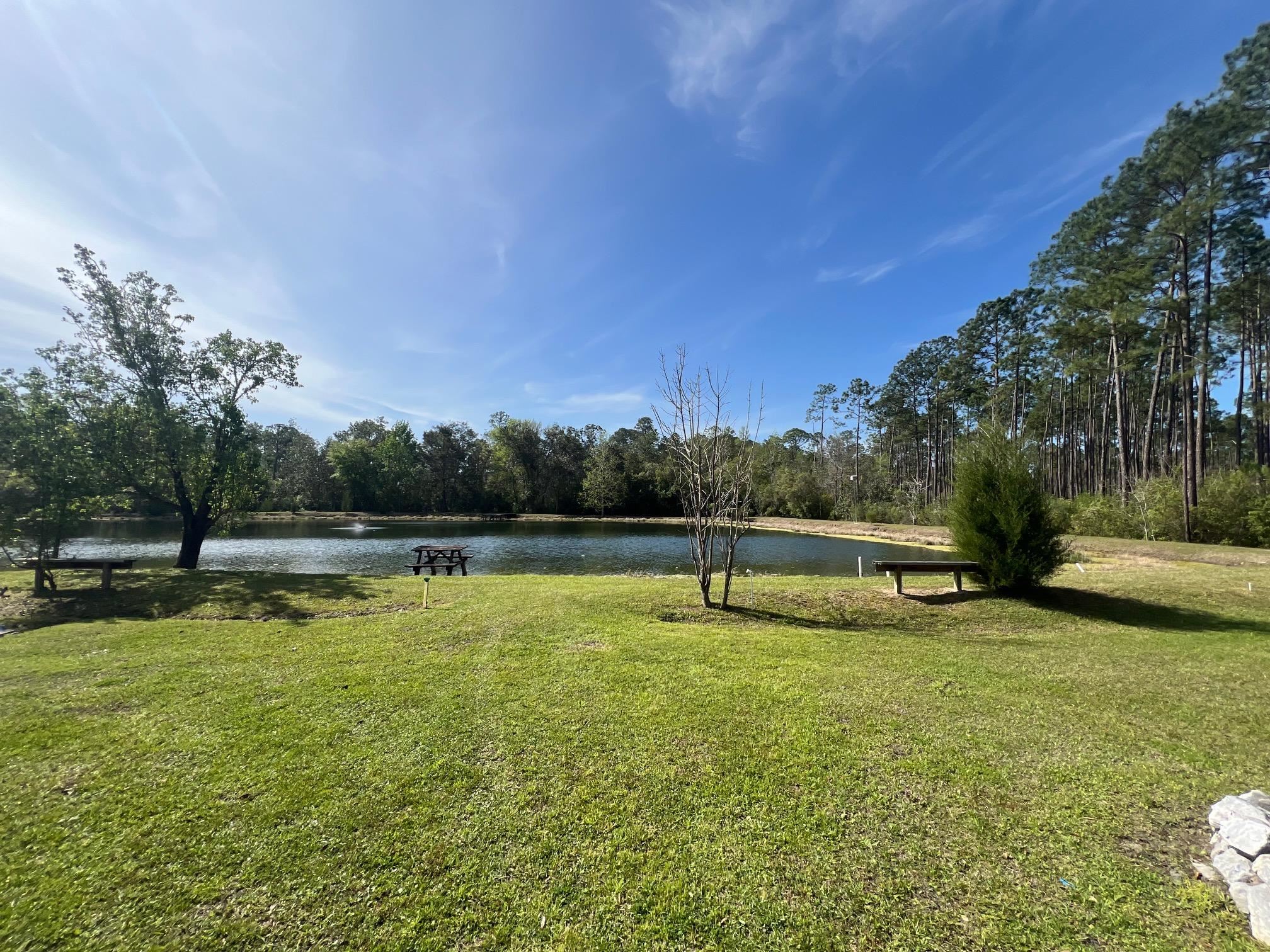 21898 NE Forest Road 103 Road, HOSFORD, Florida image 17