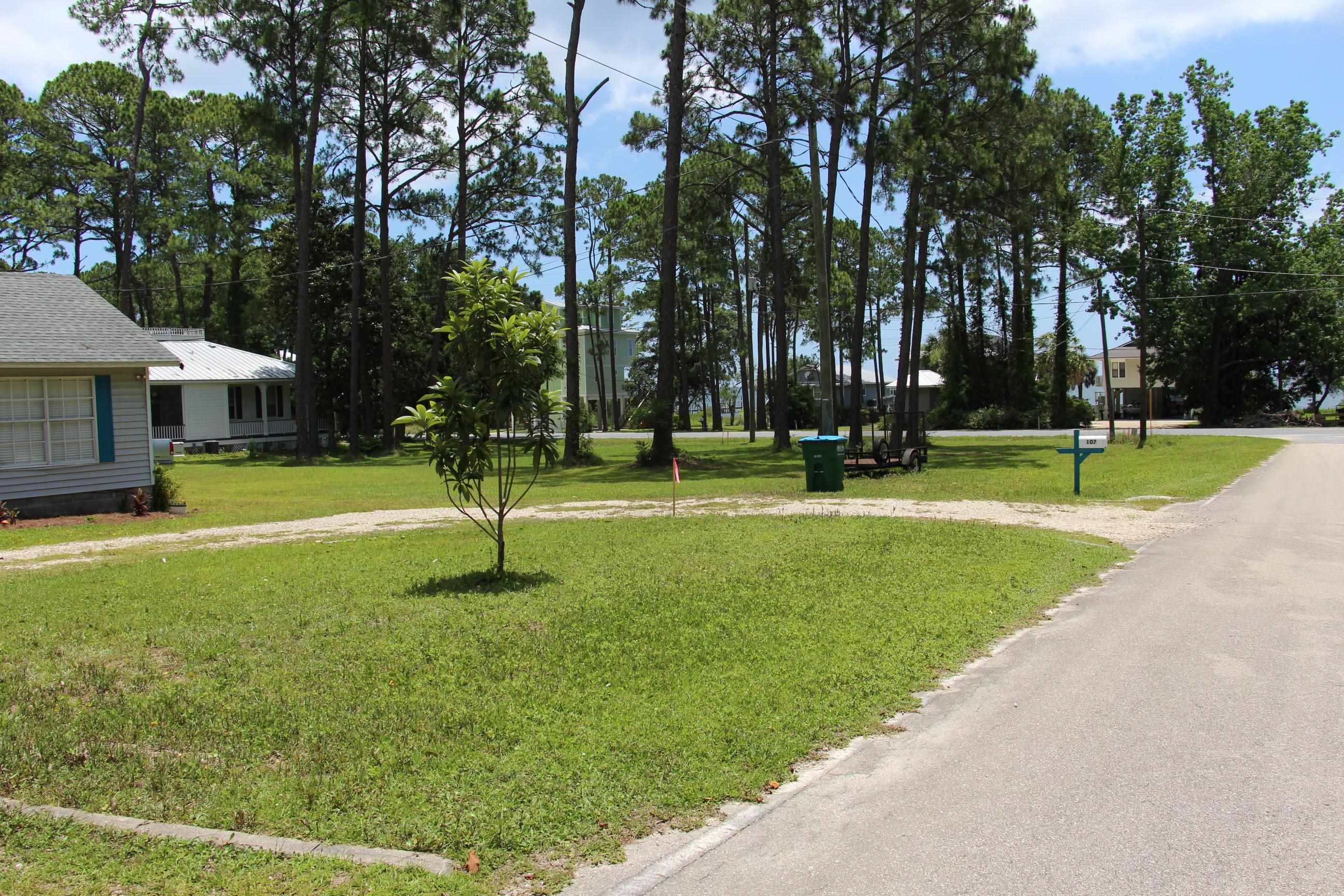 107 Infield Drive, CARRABELLE, Florida image 3