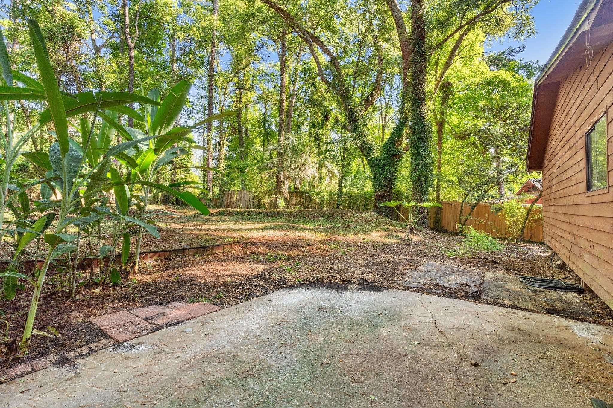 3508 Willow Springs Lane, TALLAHASSEE, Florida image 37