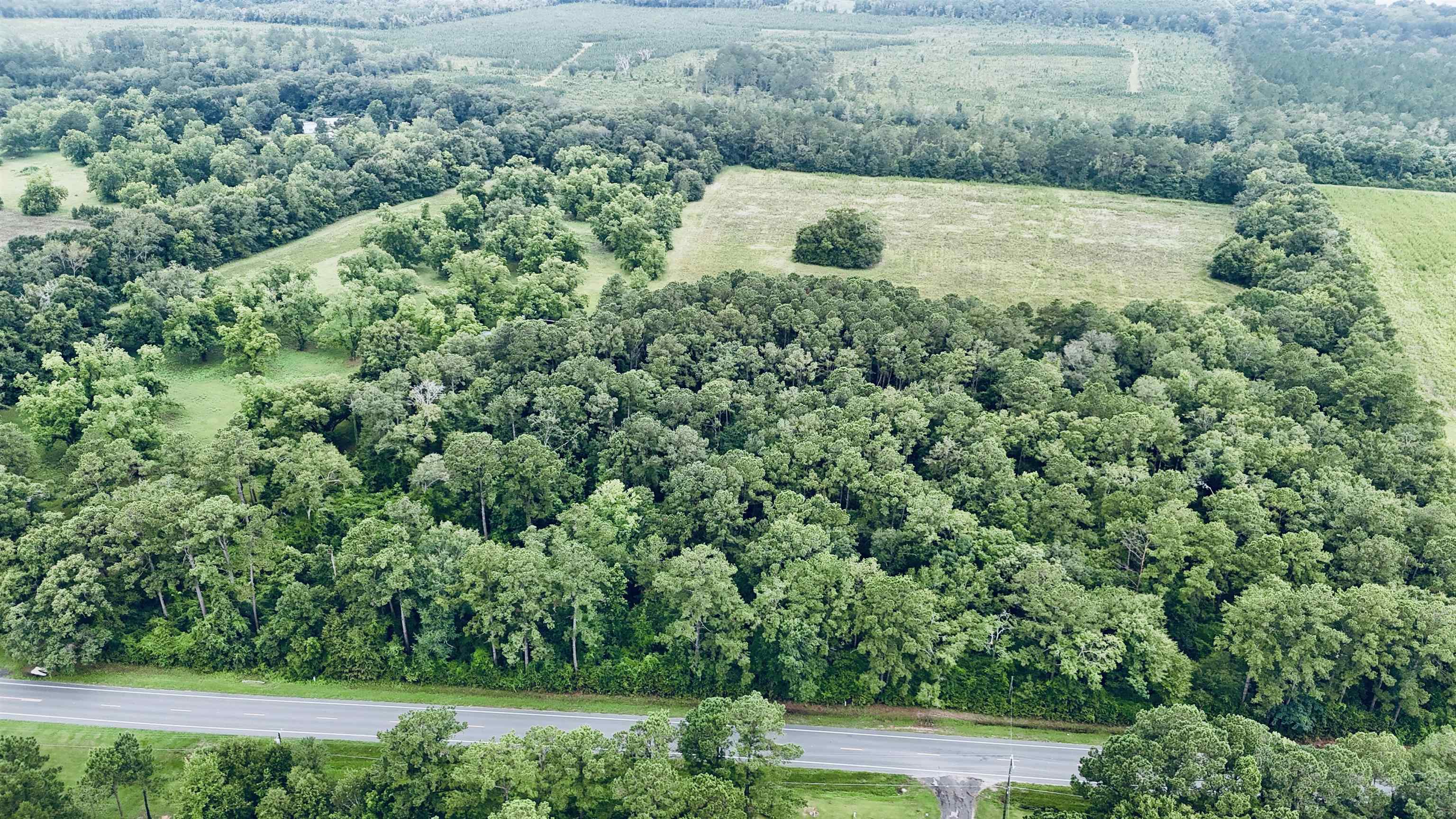 Bainbridge Highway, QUINCY, Florida image 33