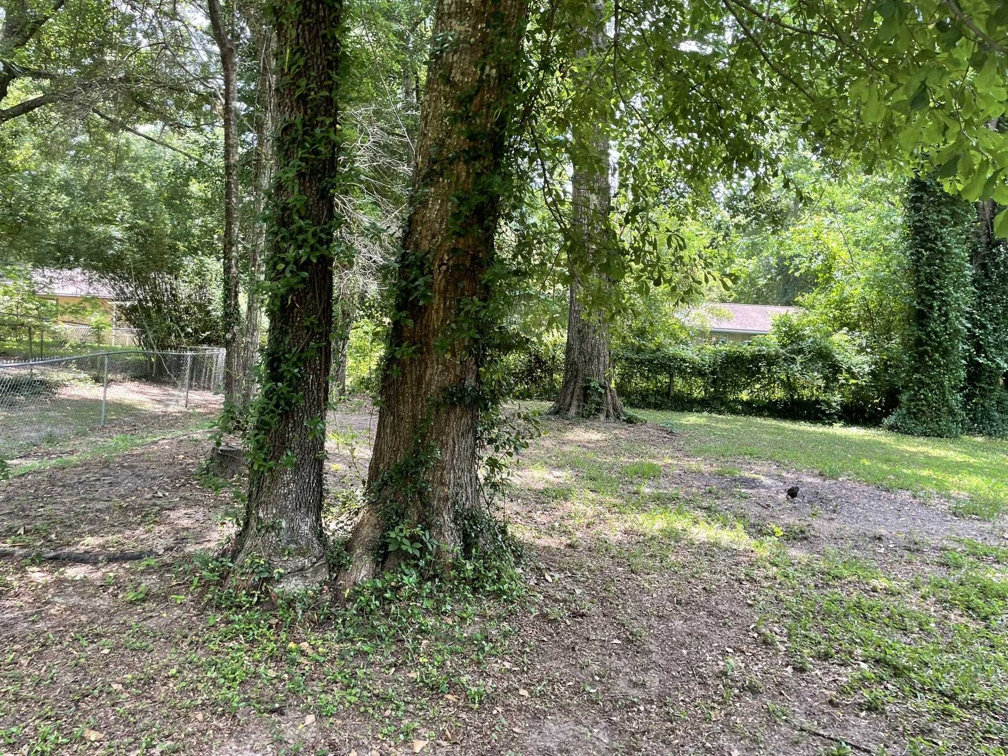 3251 Black Gold Trail, TALLAHASSEE, Florida image 18