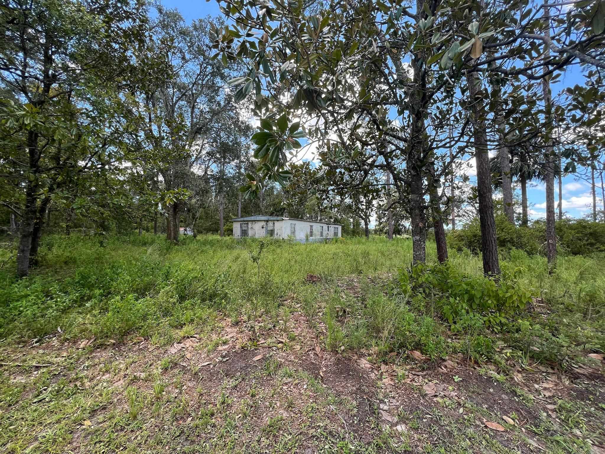 117 O Quinn Road, PERRY, Florida image 2