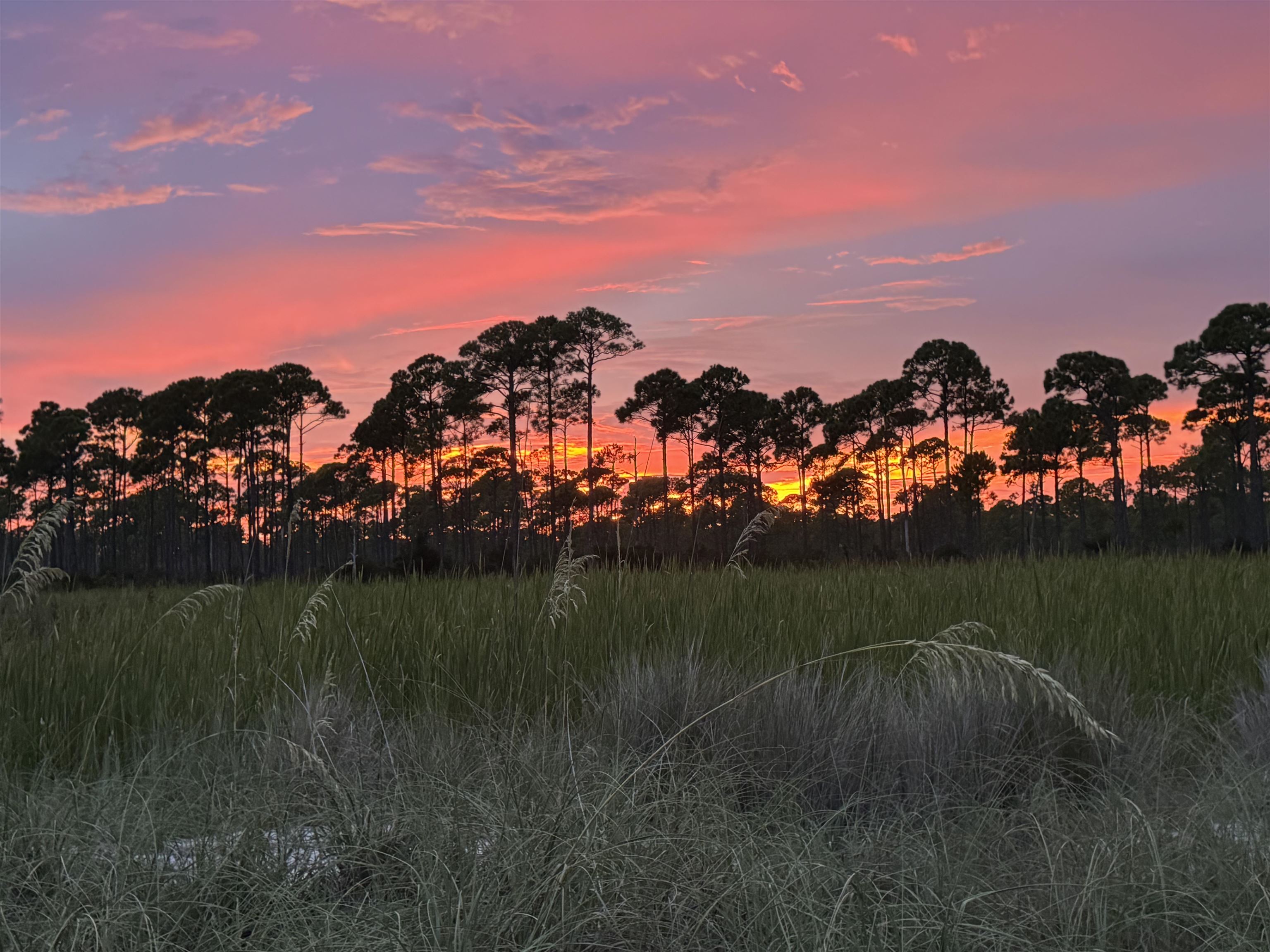 55 Lakeview Drive, ALLIGATOR POINT, Florida image 27