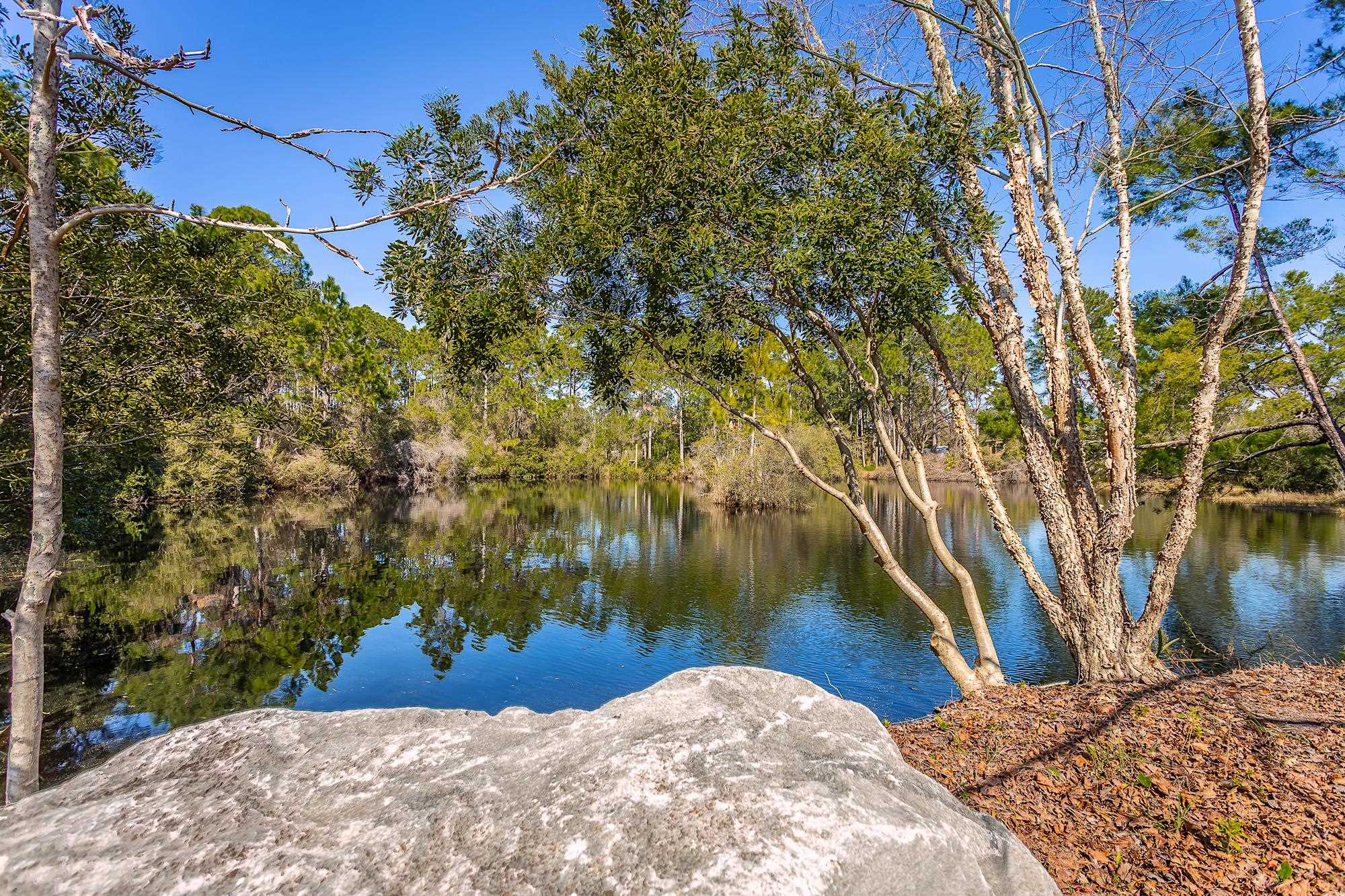 2285 W Hwy 98, CARRABELLE, Florida image 41