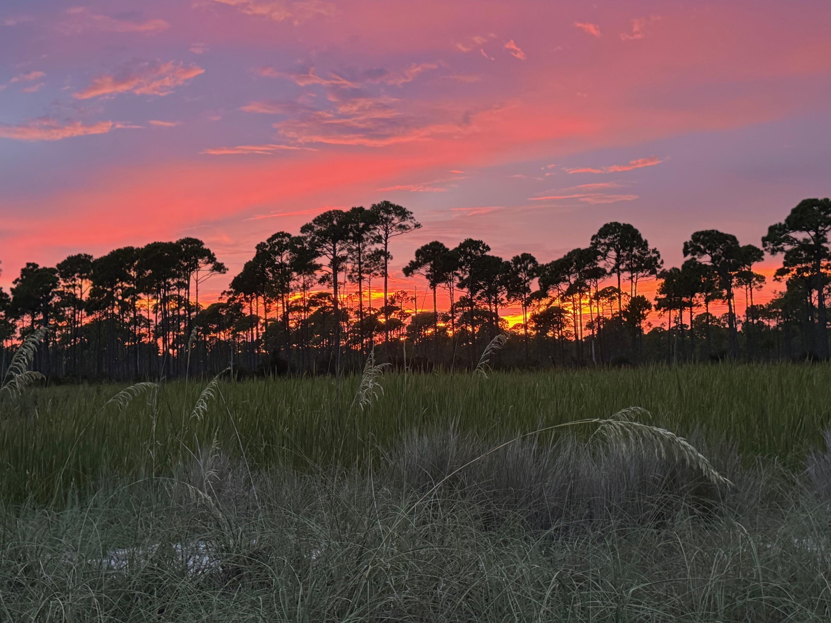 16 Bass Street, ALLIGATOR POINT, Florida image 25