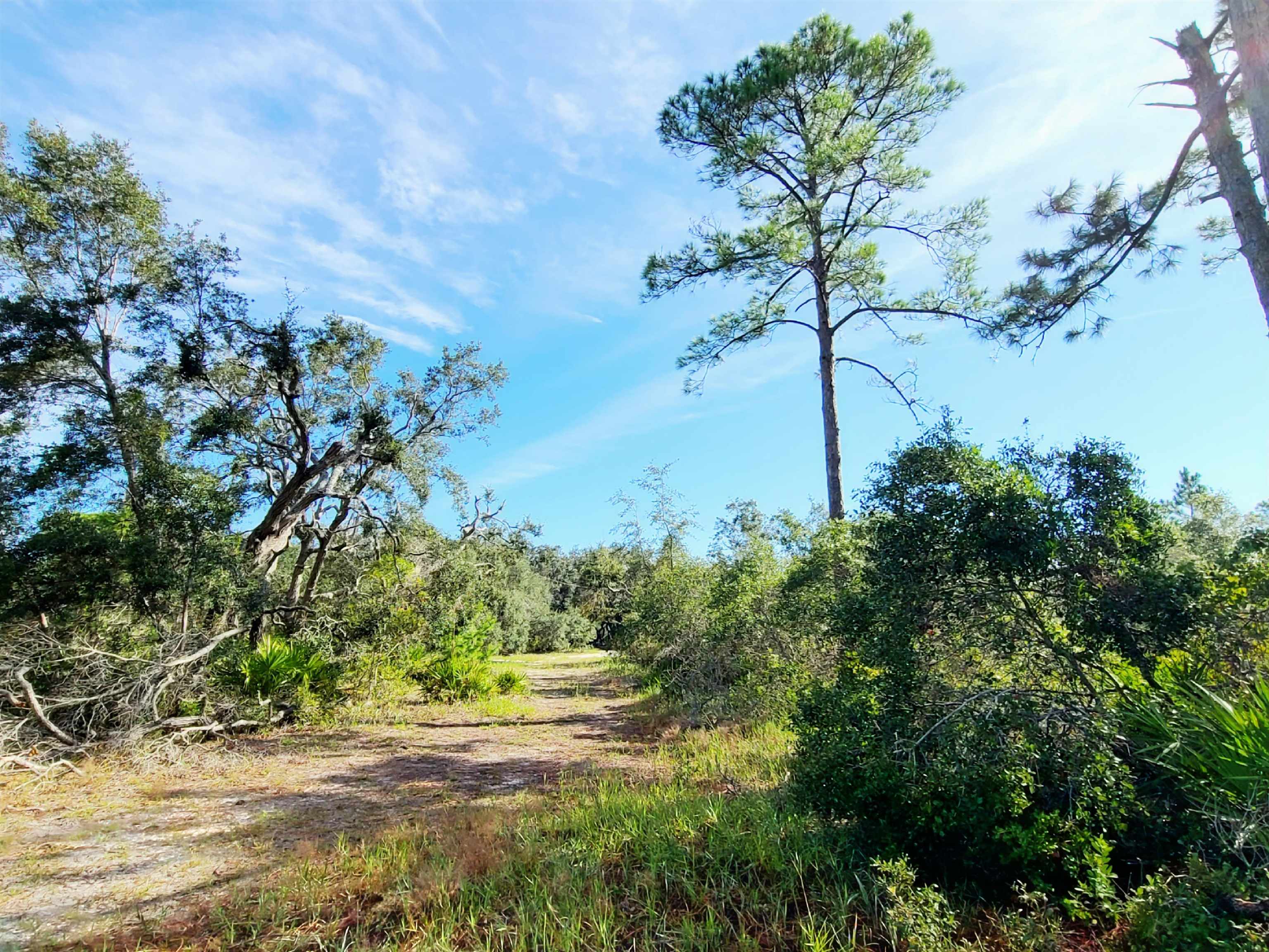 16647 W Royal Oak Drive, PERRY, Florida image 10