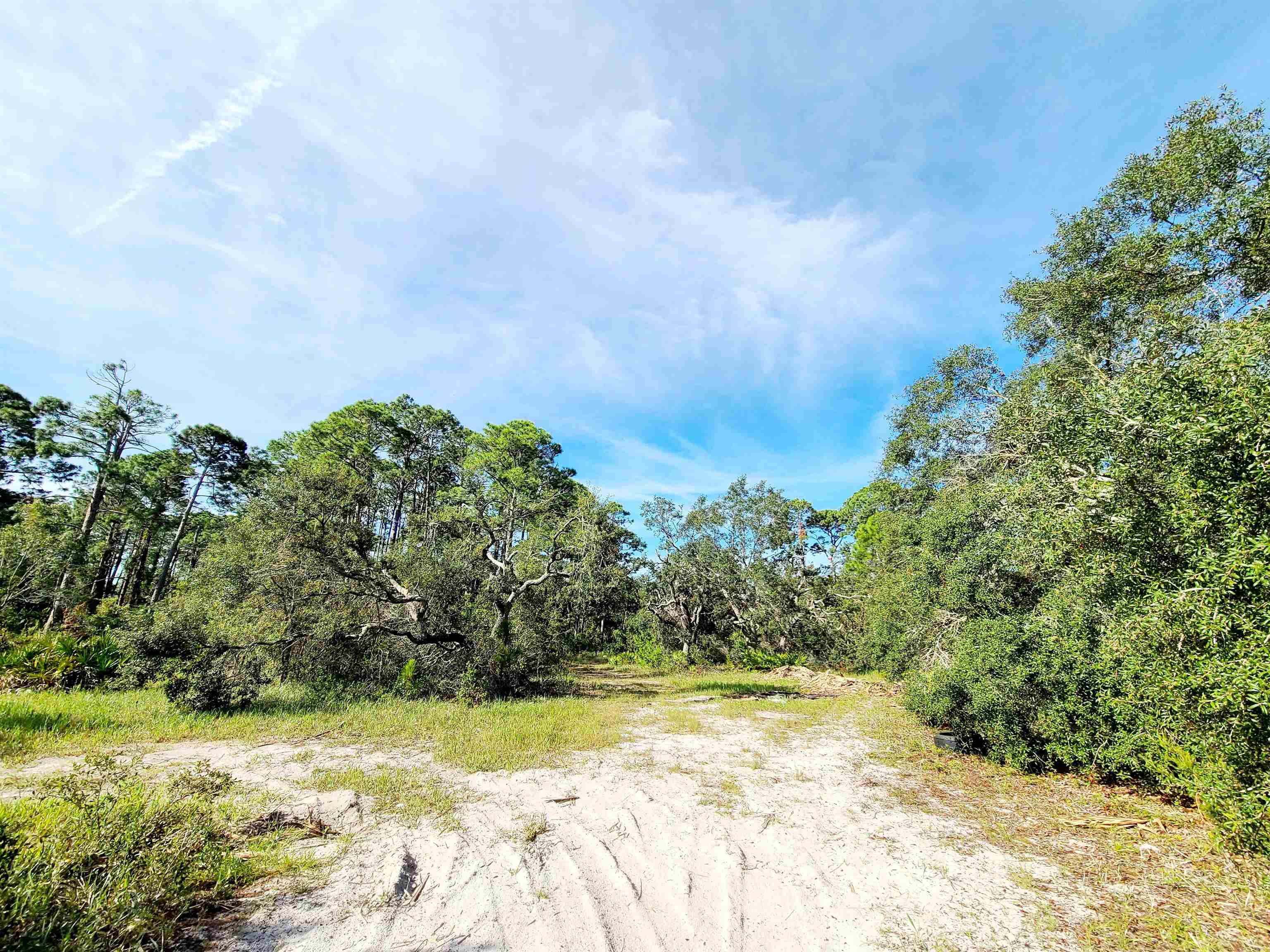 16647 W Royal Oak Drive, PERRY, Florida image 9