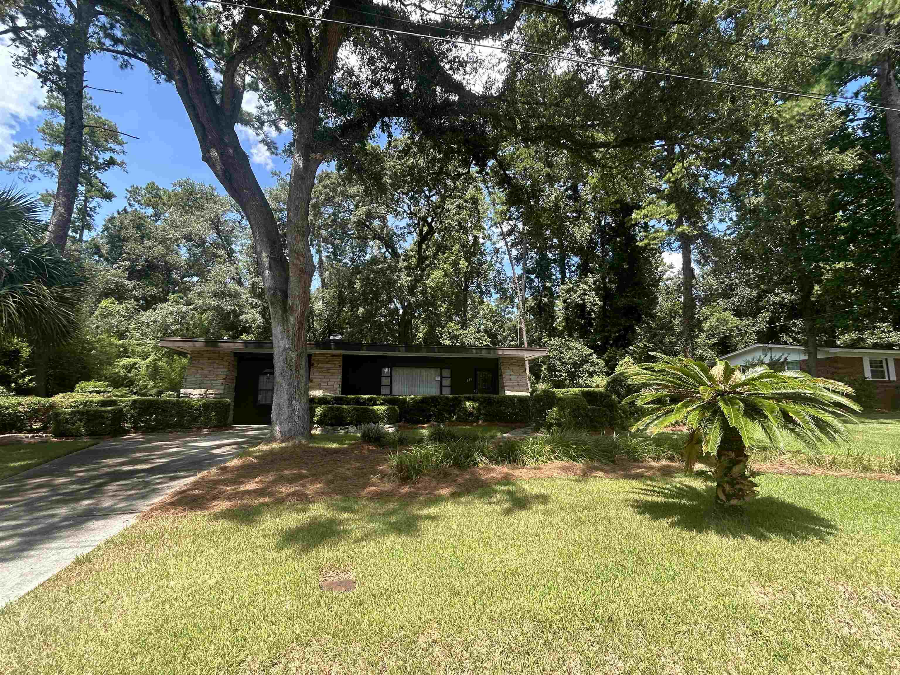 1826 Sunset Lane, TALLAHASSEE, Florida image 4